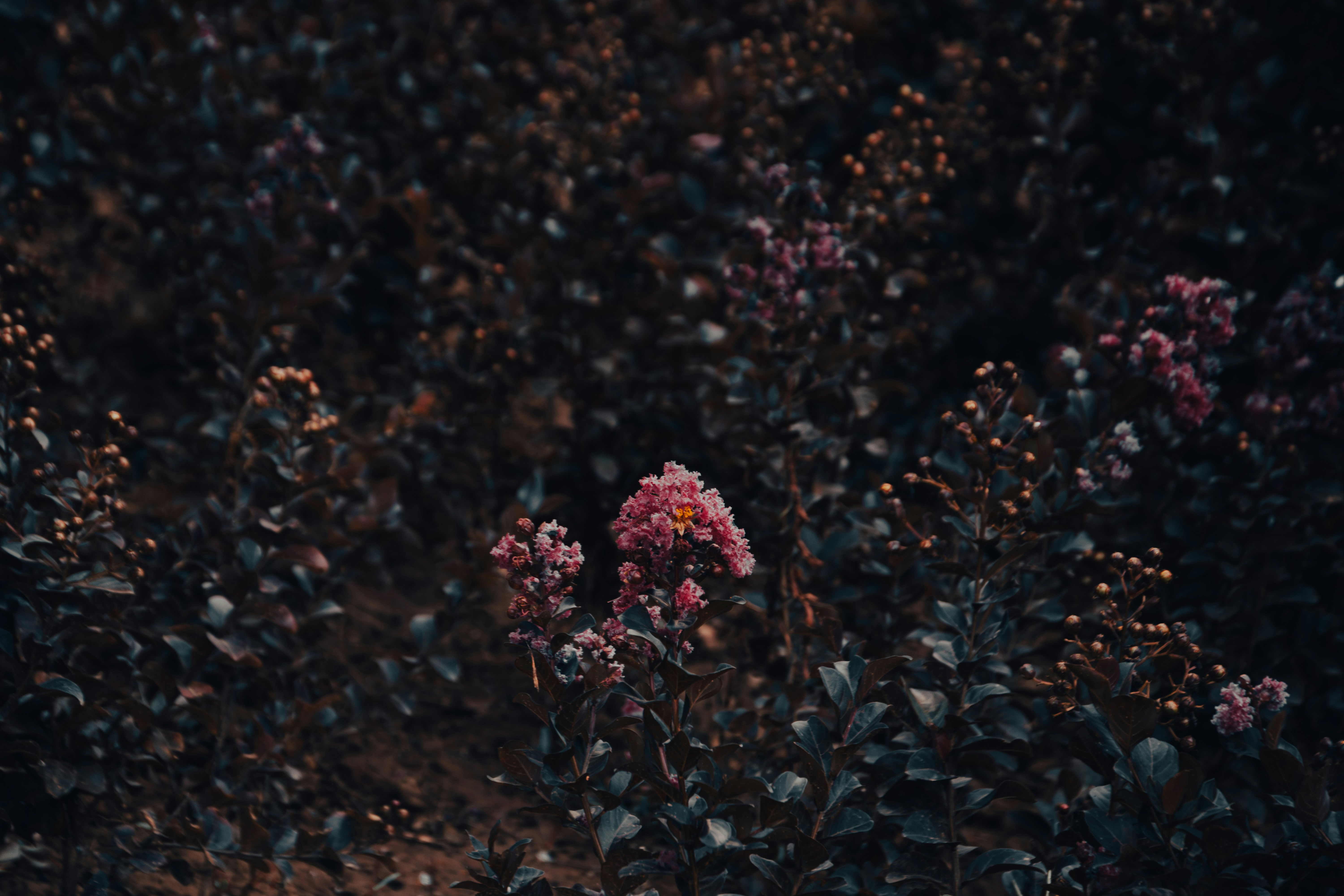 Photo by skzhao