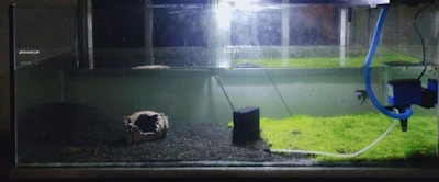 An aquarium with a dark substrate and some patches of green aquatic plants. A piece of hollow driftwood is positioned on the left side, and there is a small black filter or decoration nearby. A blue tube is connected to a filter or pump on the right side, with water partly filling the tank.