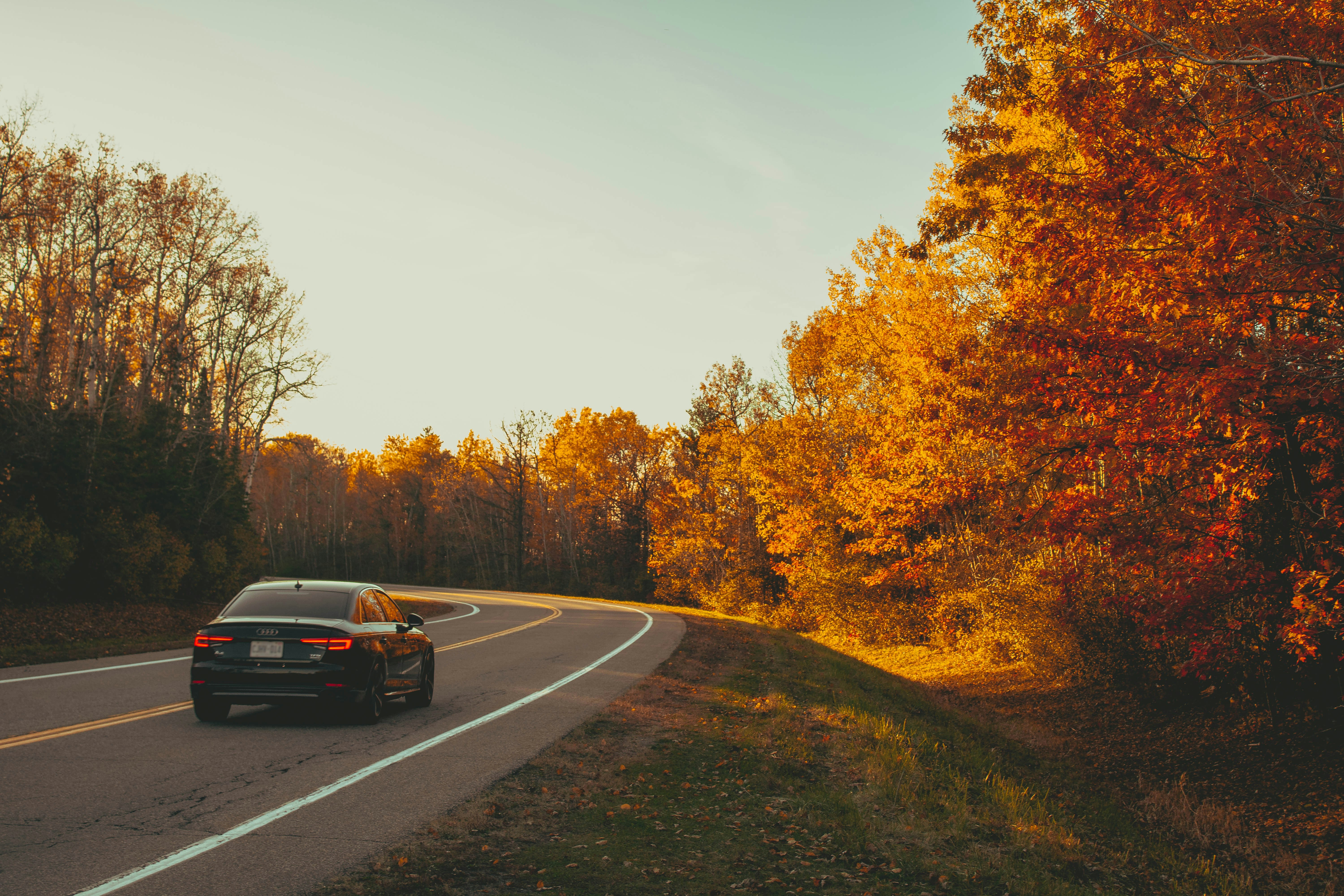 Photo by hamidsiddiqi7