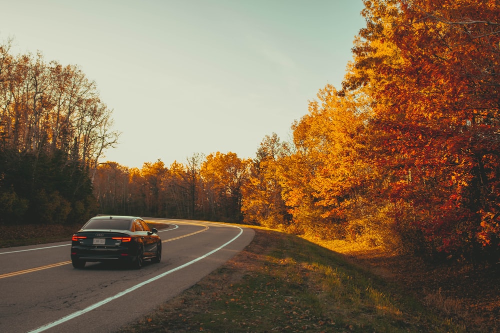 a car driving down a road in the fall