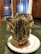 Image of a sleek tabby cat eating from a modern, stainless steel feed bowl on a wooden floor.
