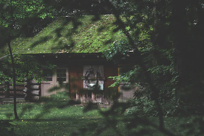 Cozy wooden chalé nestled among mossy trees at dawn.