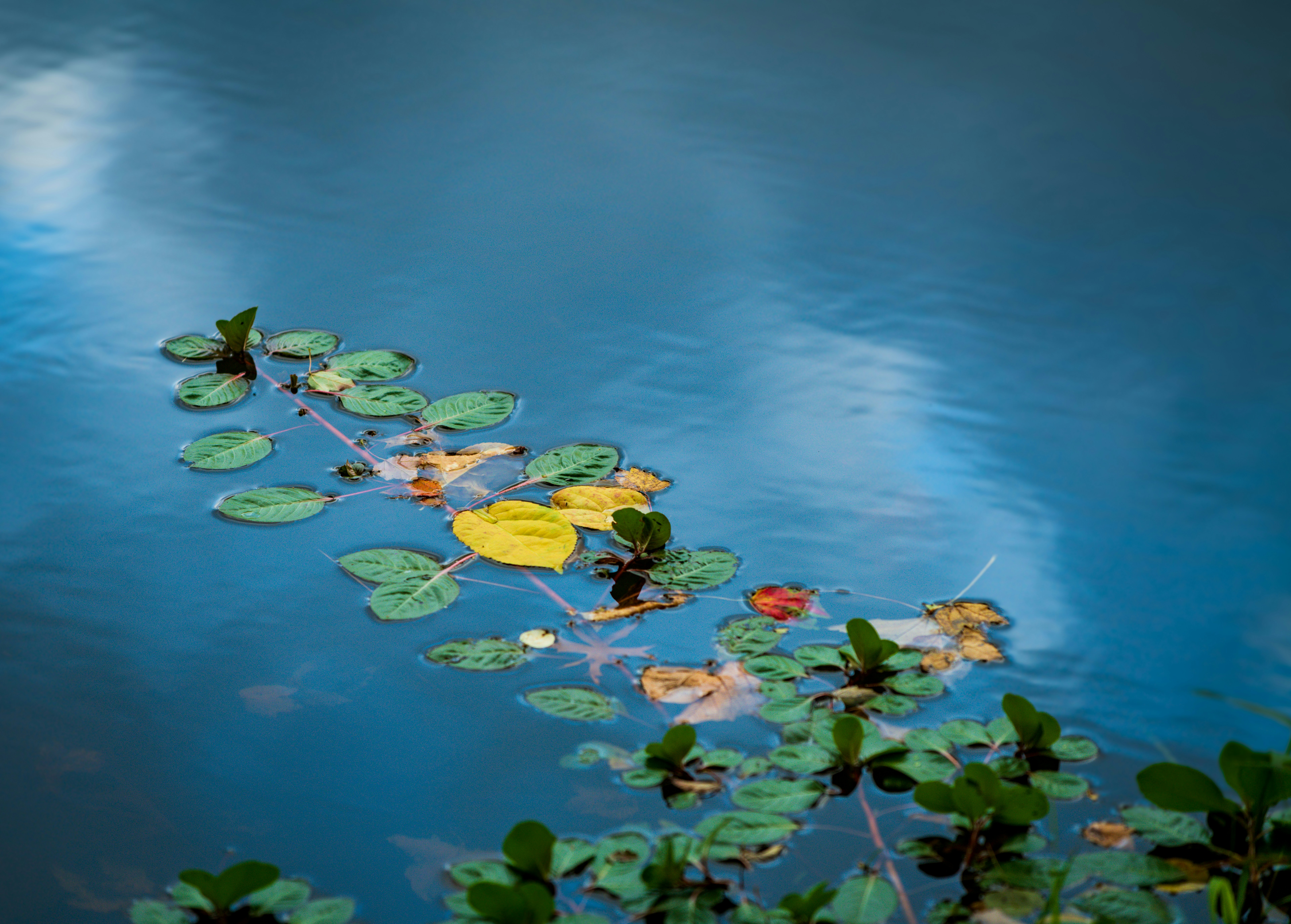 Photo by sriniunsplash