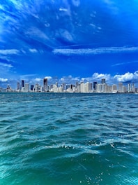 A vibrant image showcasing the Miami skyline with a blue theme.