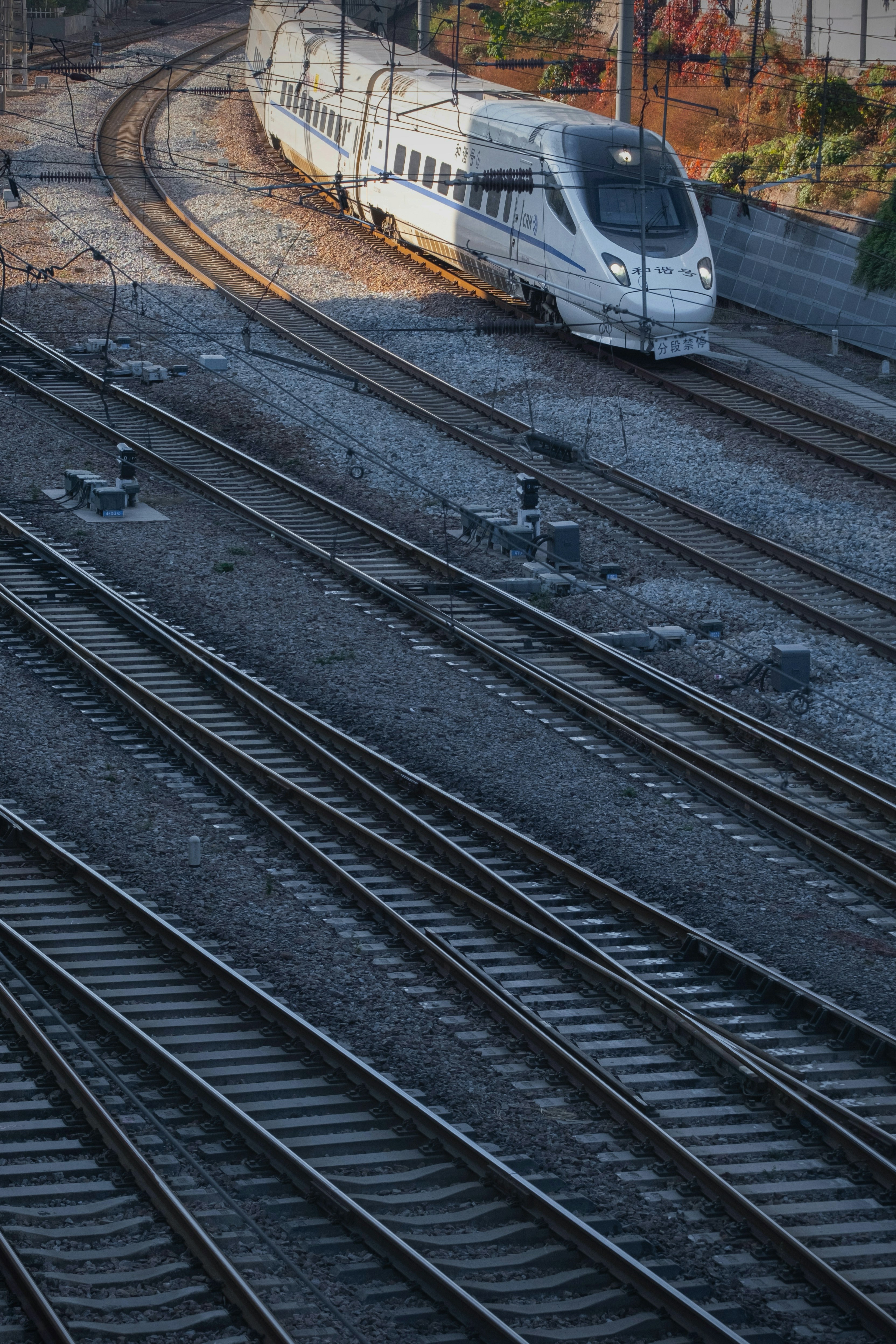 Photo by hattrick1996