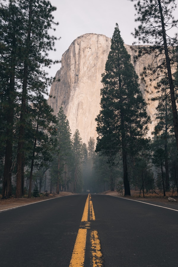 a road with trees and a mountain in the backgroundby Guillermo