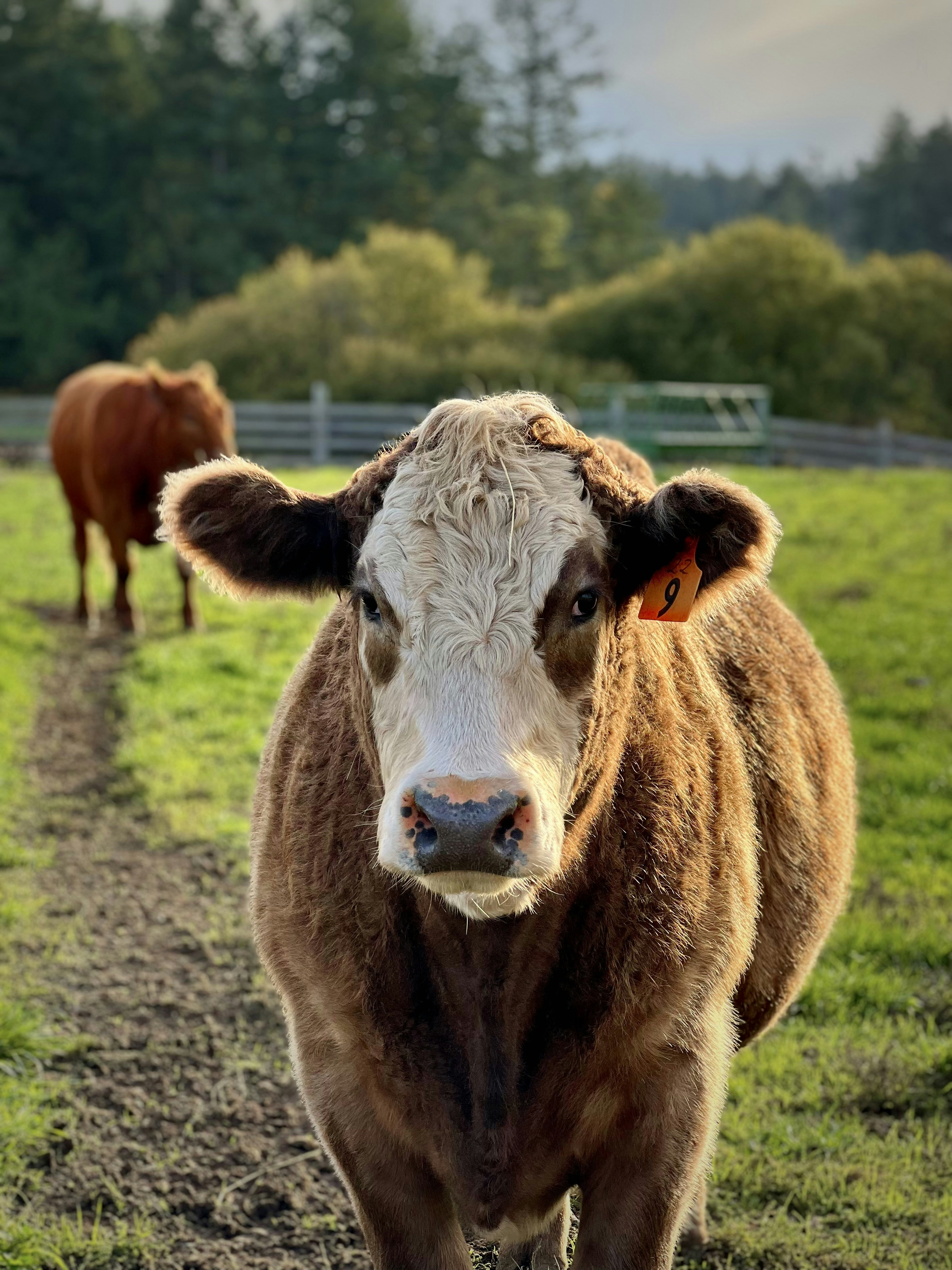 Photo by summersmyth79