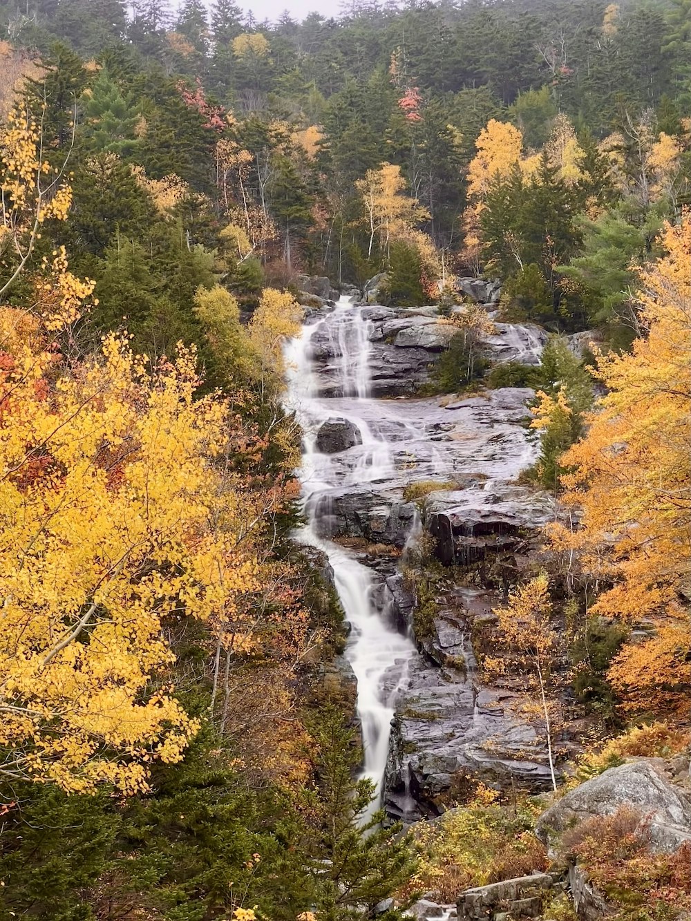 a waterfall in the middle of a forest