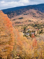A vast landscape of autumn foliage with trees showcasing vibrant shades of orange, yellow, and red. In the distance, a building is nestled among the trees, surrounded by the changing colors of the season. Beyond, a mountain forms a majestic backdrop under a subtly clouded sky.