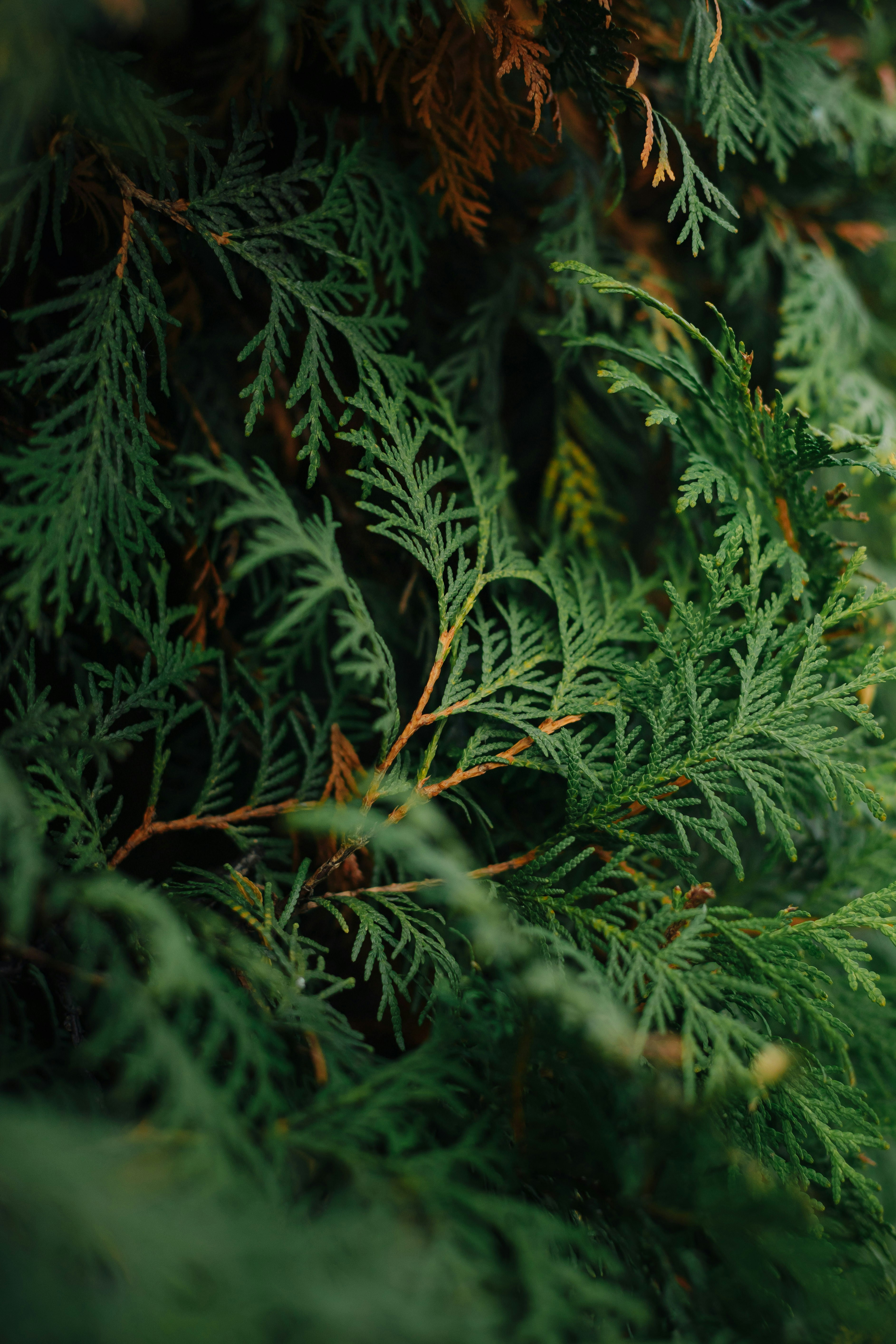 Photo by batondamdinov