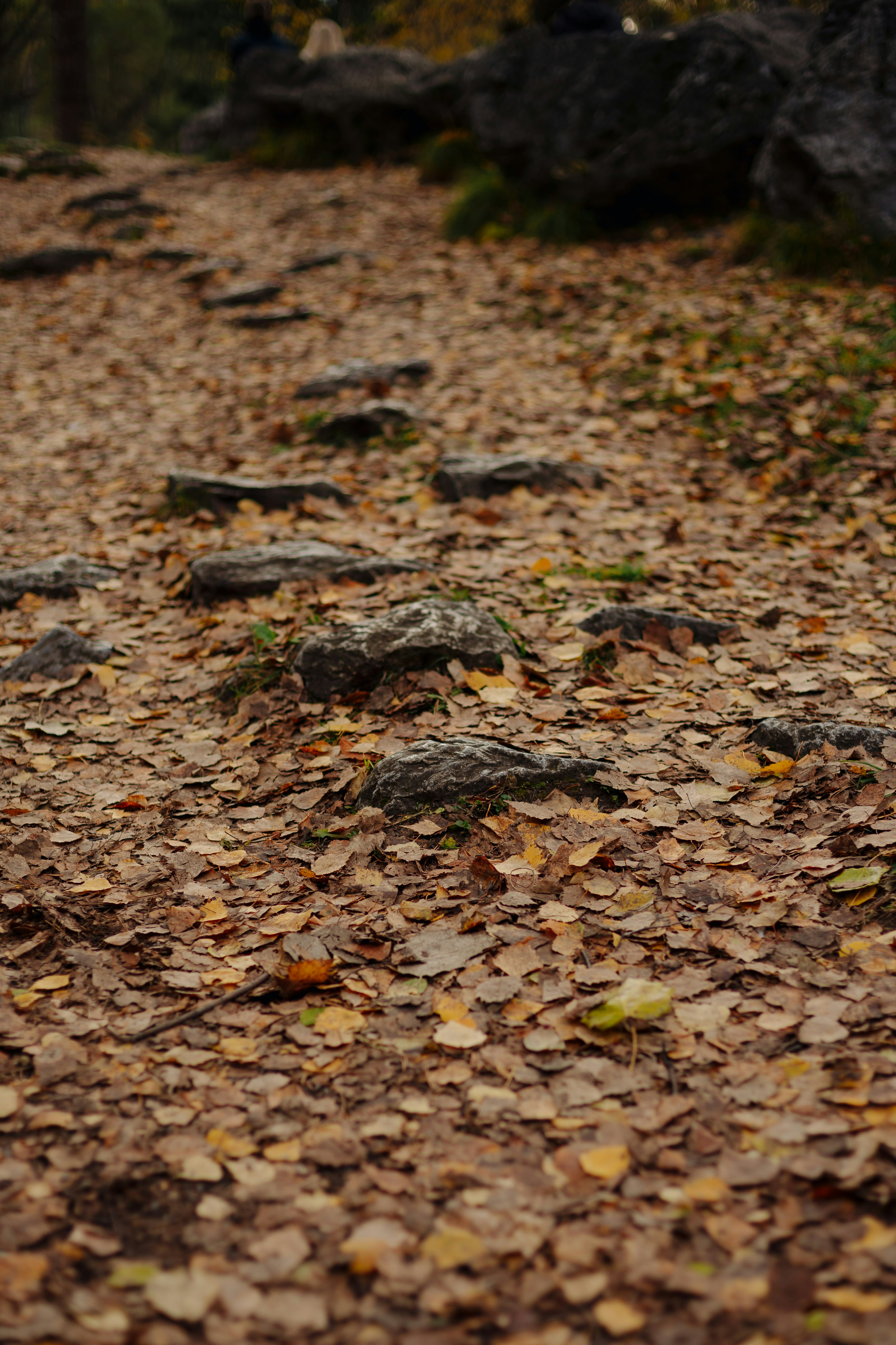 Photo by batondamdinov