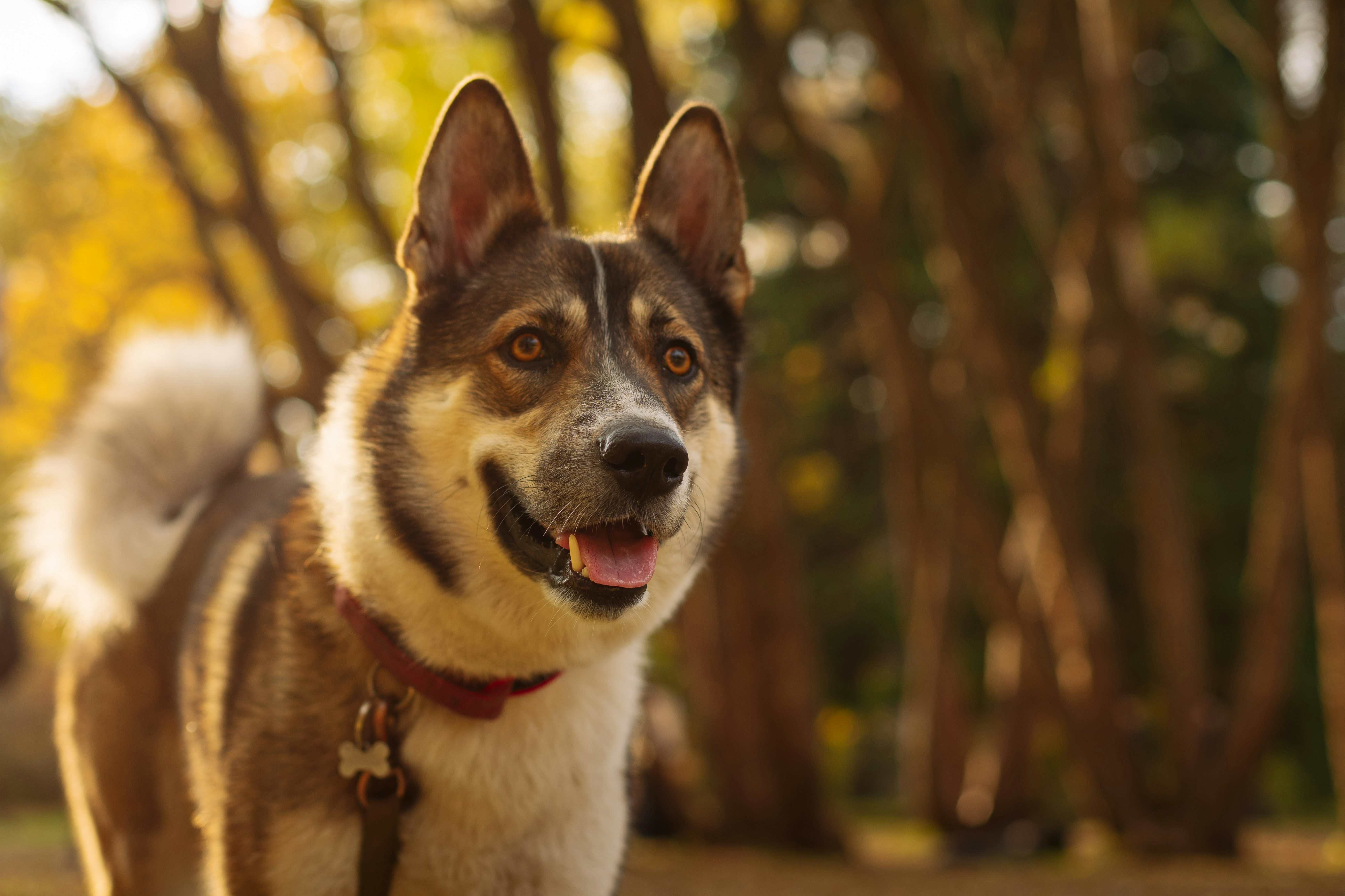 Photo by batondamdinov