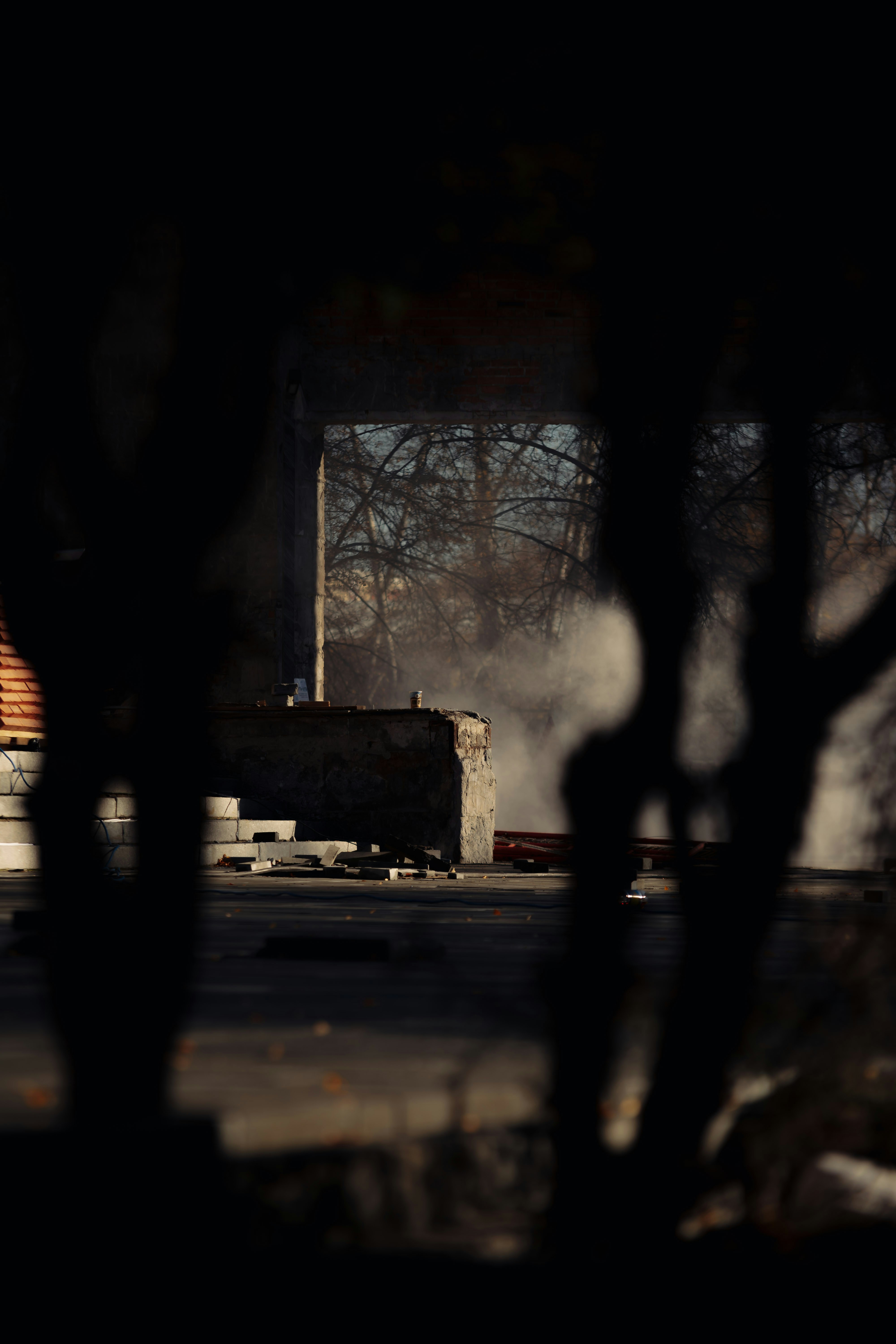 Photo by batondamdinov