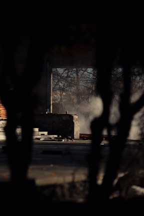 A dark, shadowy foreground frames an abandoned, partially constructed or ruined building. Smoke or mist drifts across the scene, adding a mysterious atmosphere, while leafless tree branches are visible through an open section of the structure.