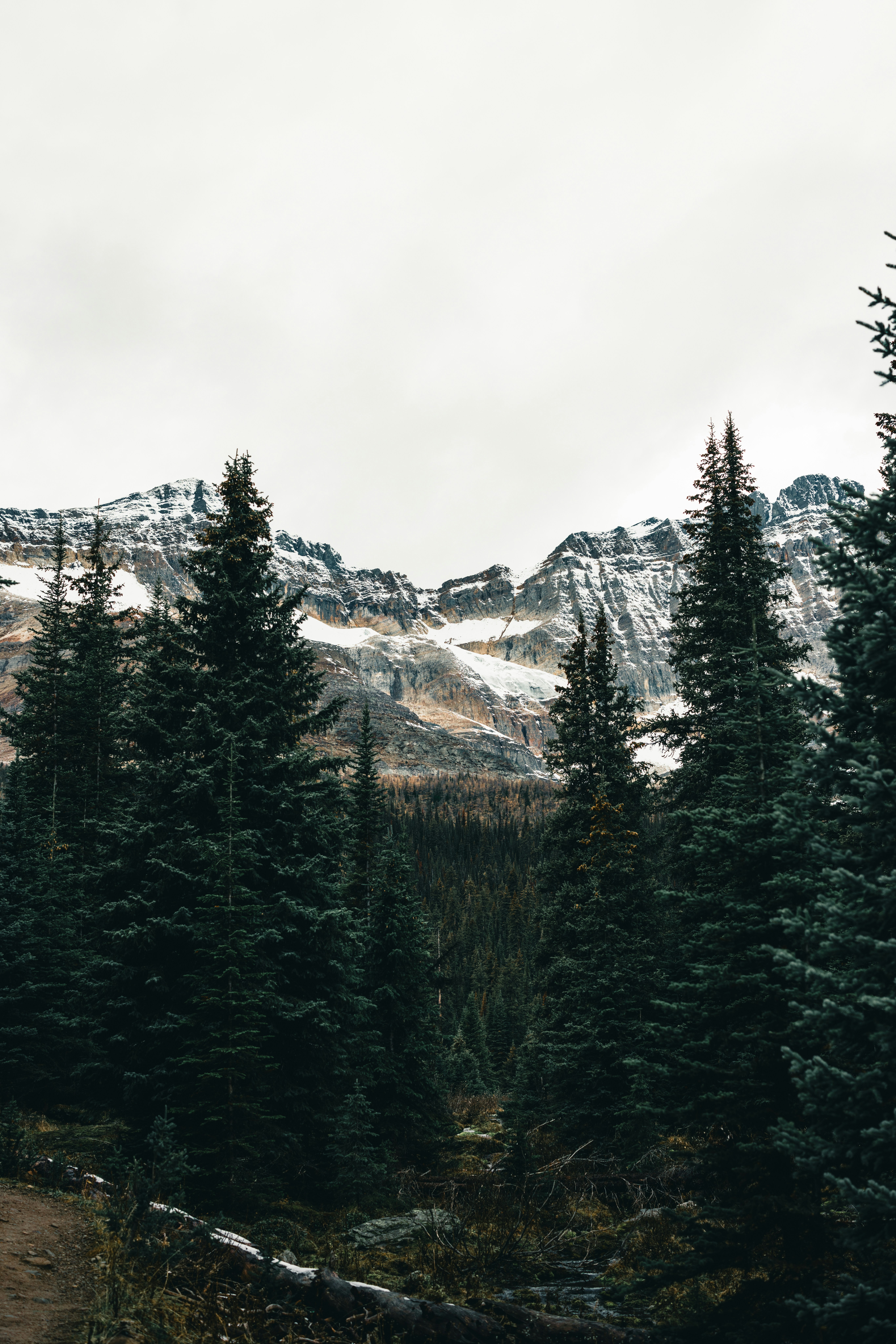 Photo by lureofadventure