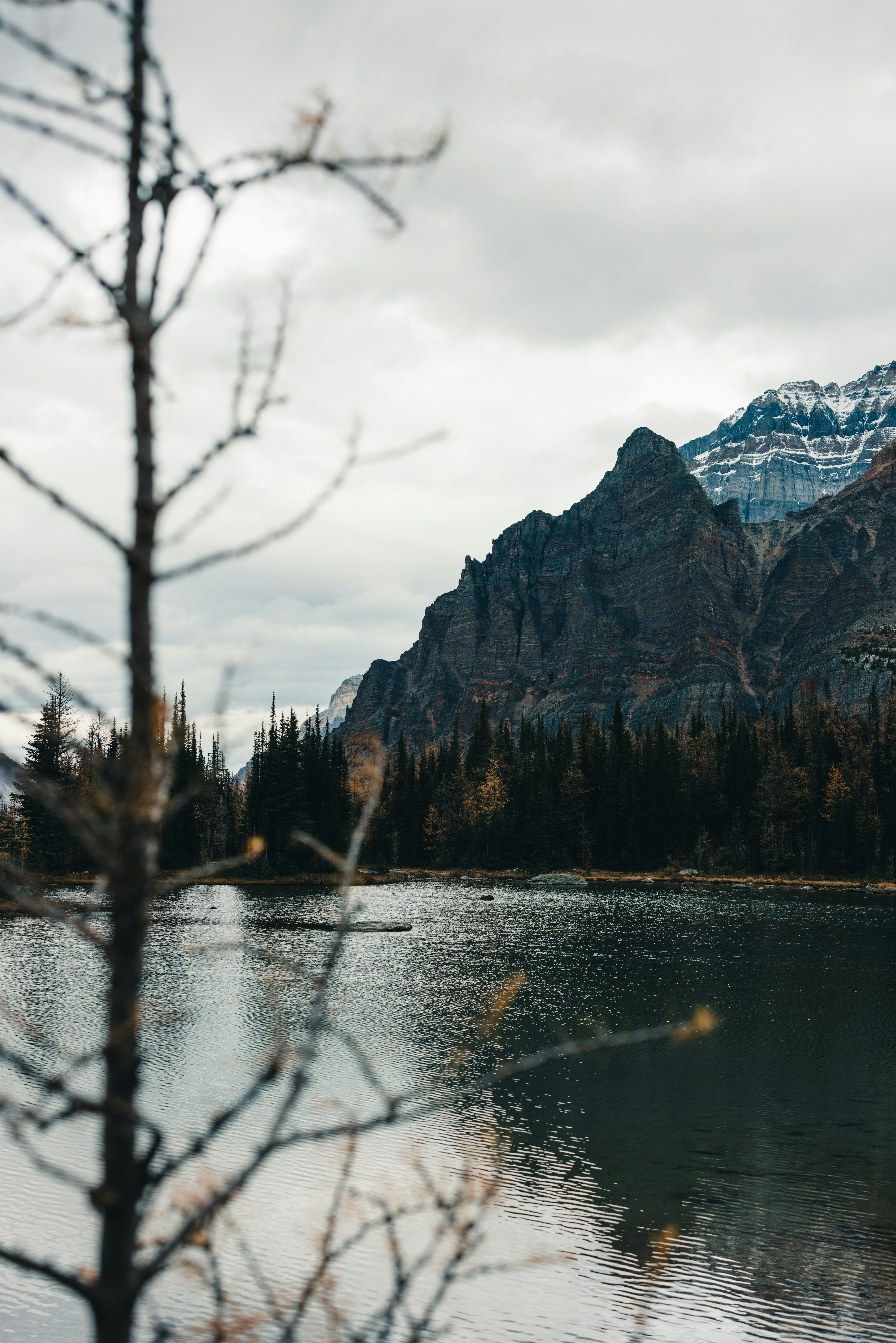 Photo by lureofadventure