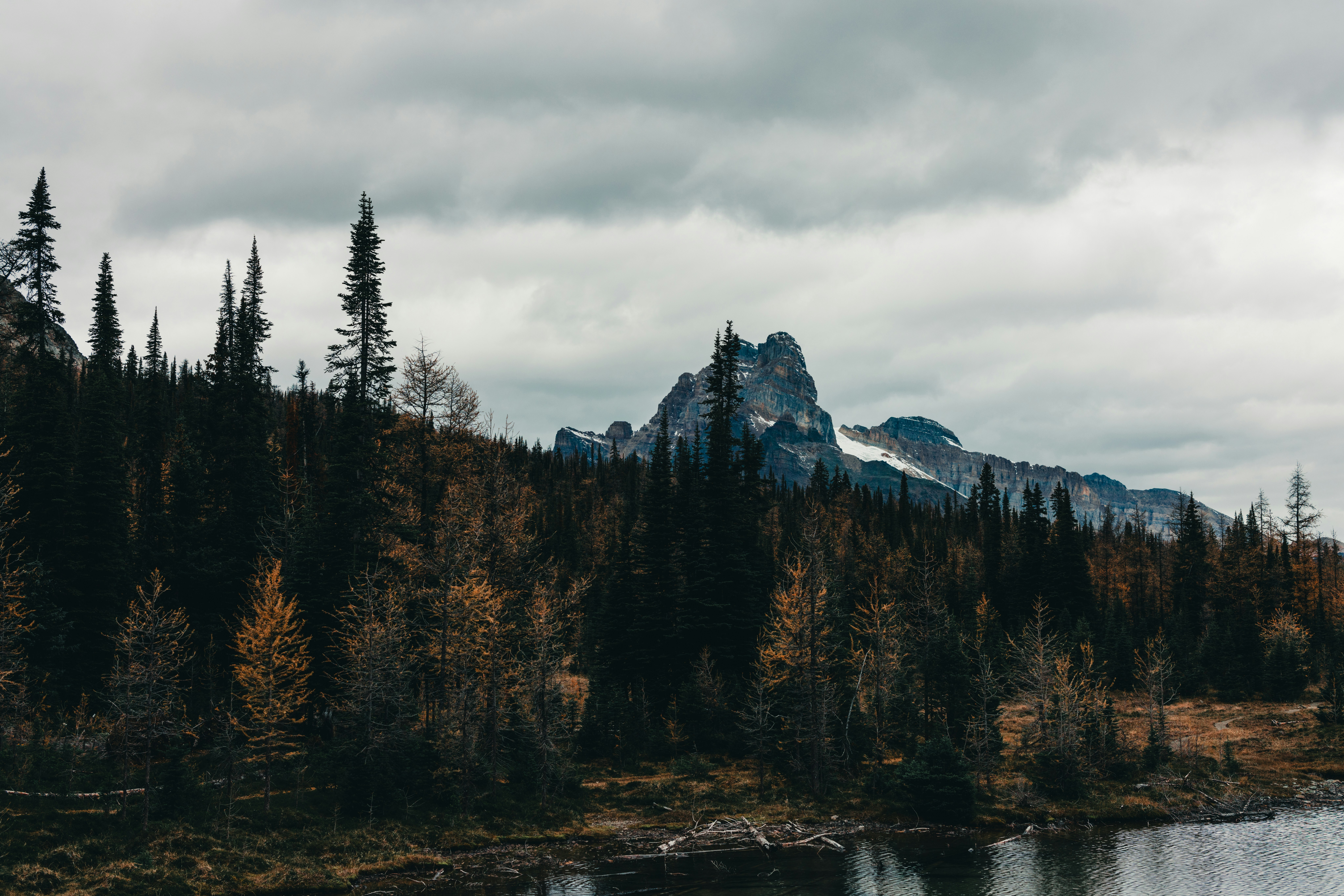 Photo by lureofadventure