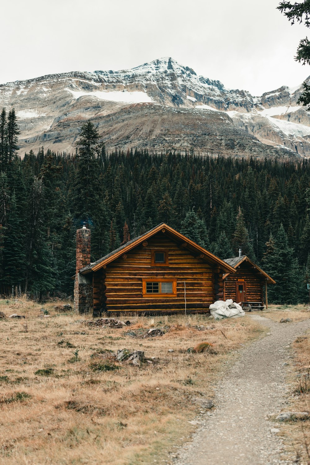 a log cabin in the middle of a field with a mountain in the background