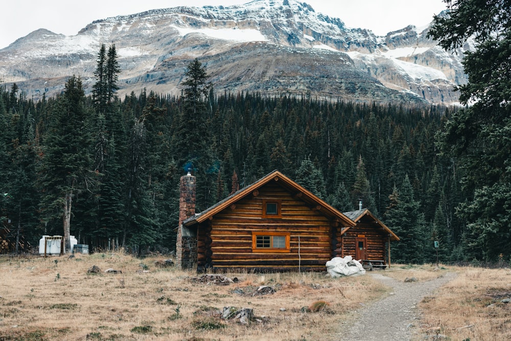 a log cabin in the woods with a mountain in the background