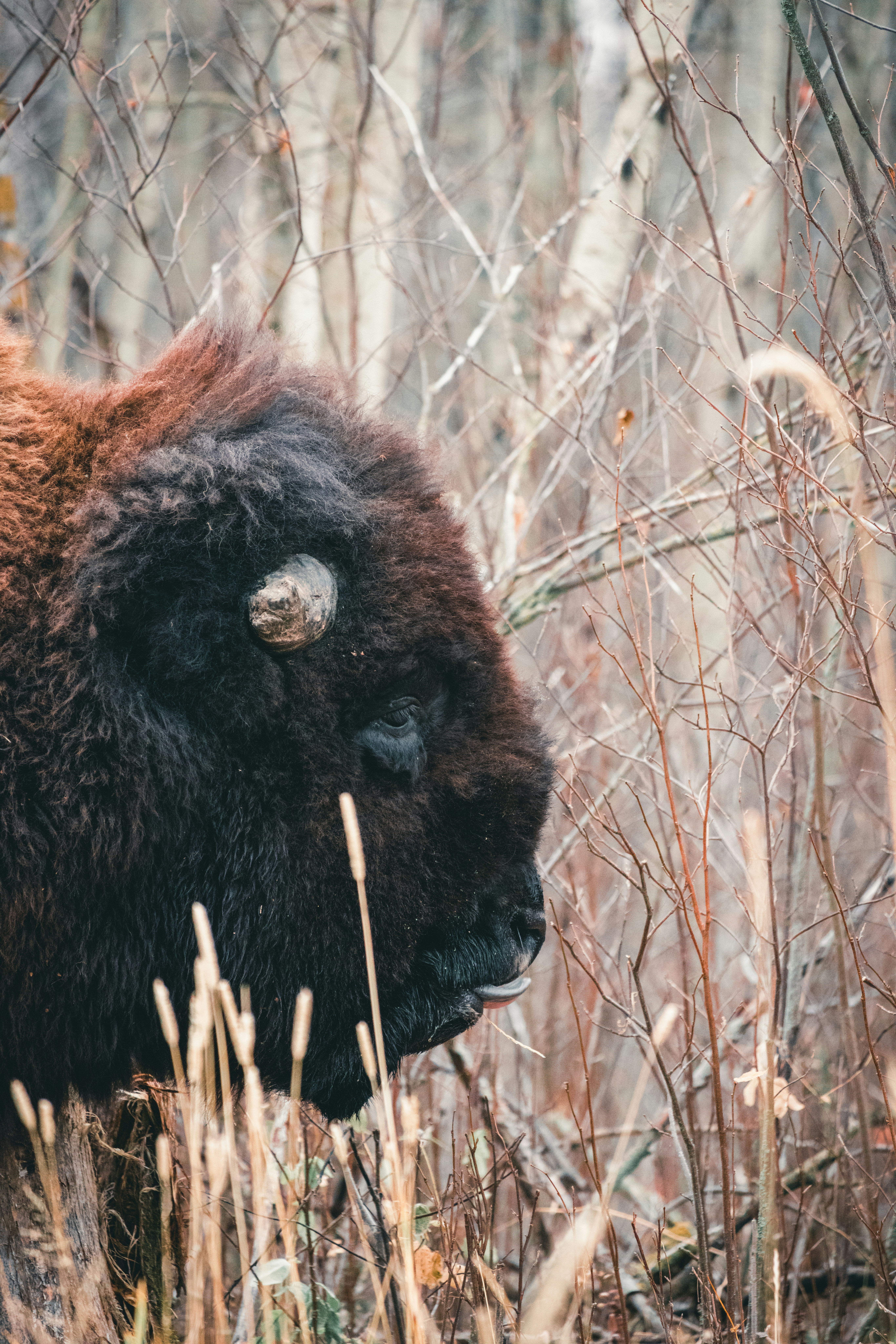 Photo by lureofadventure