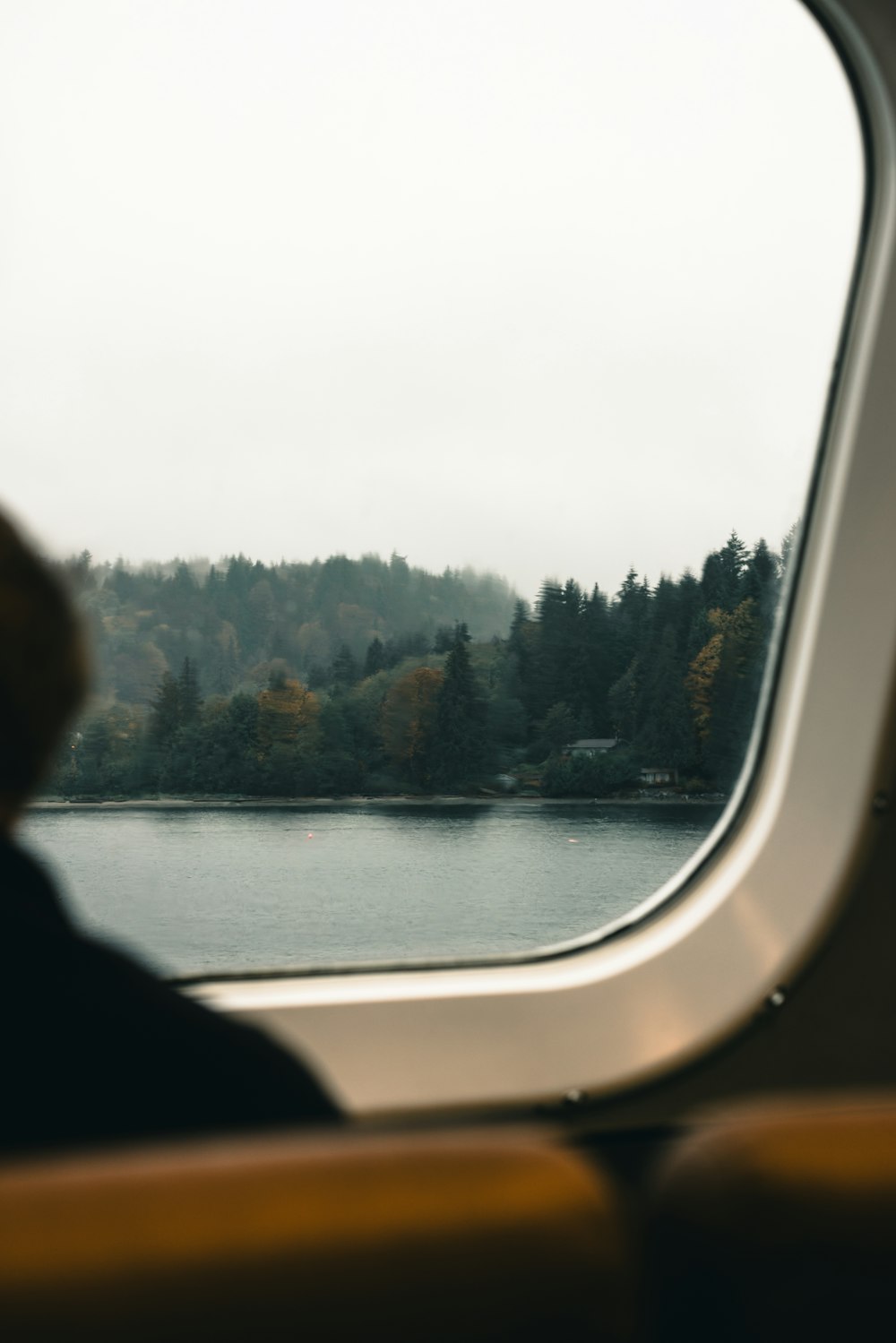 a person looking out a window at a lake