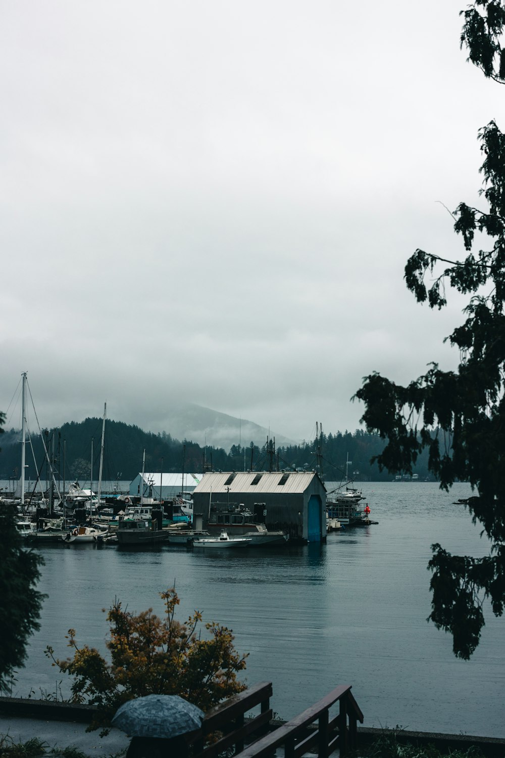 a body of water filled with lots of boats