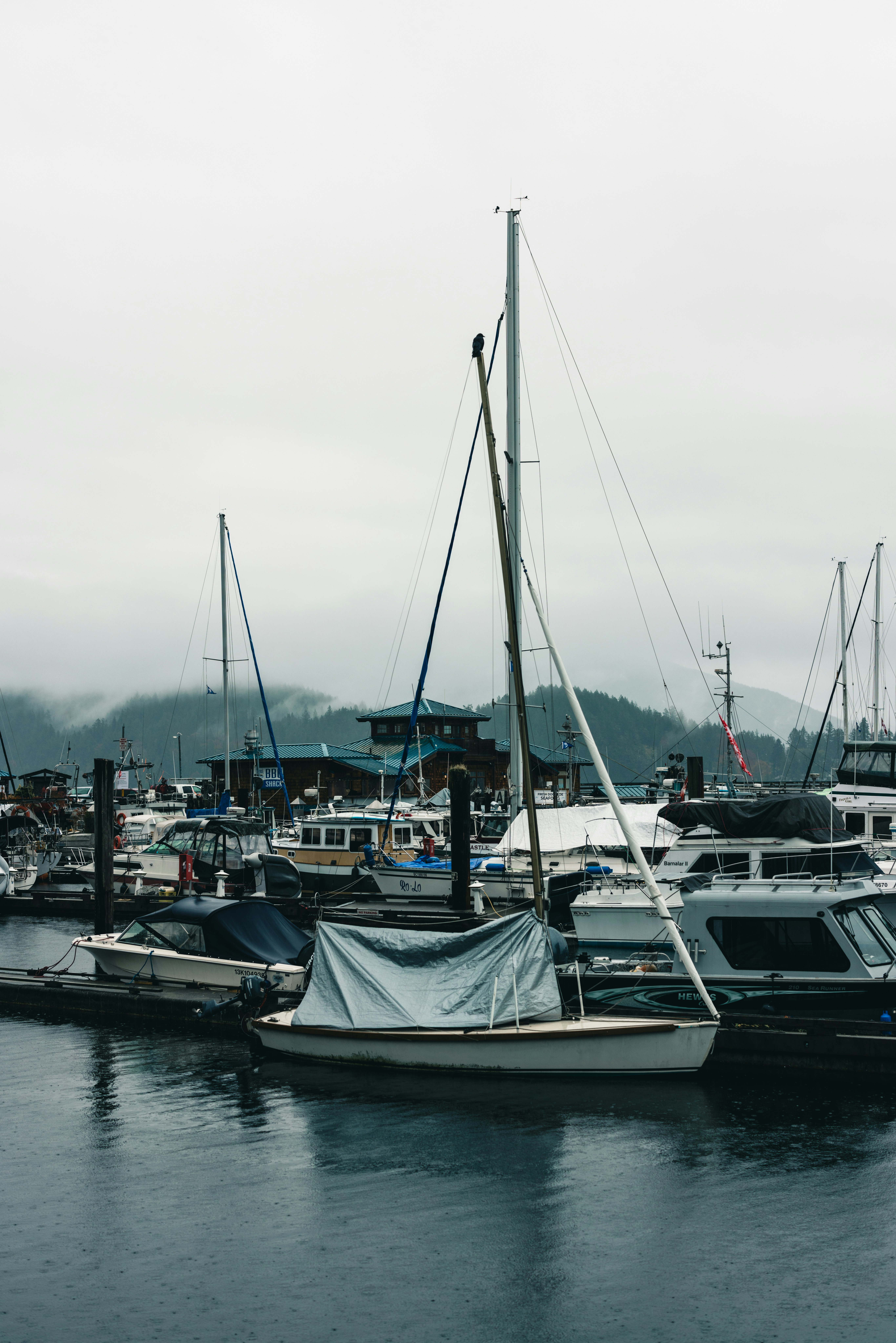 Photo by lureofadventure