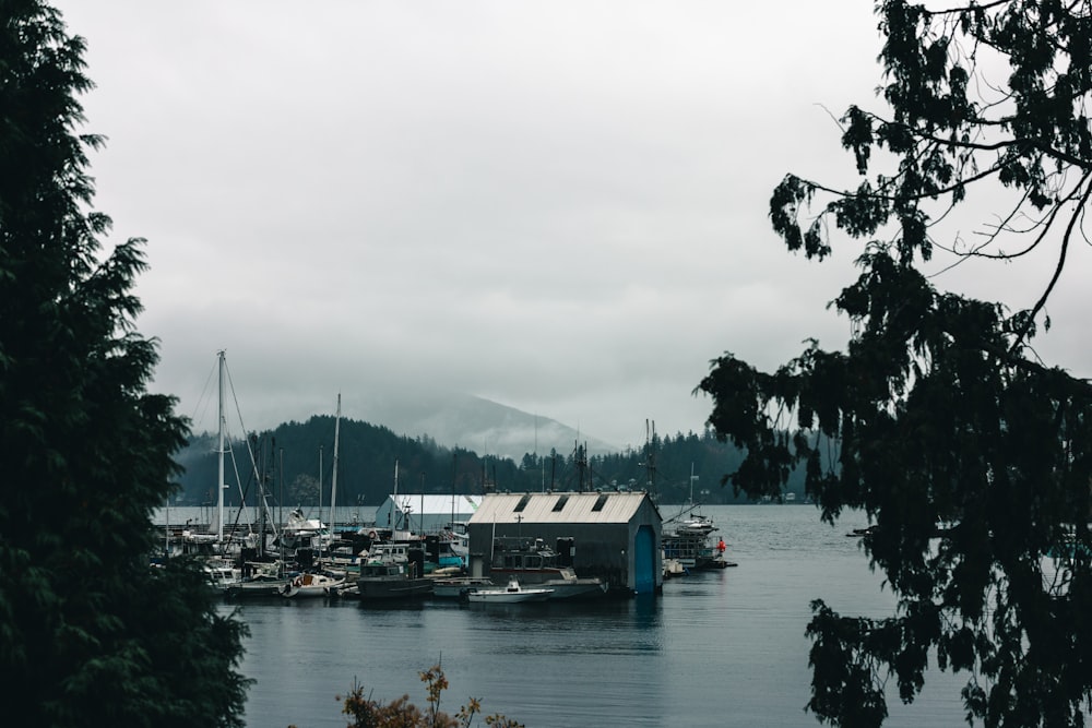 a body of water filled with lots of boats