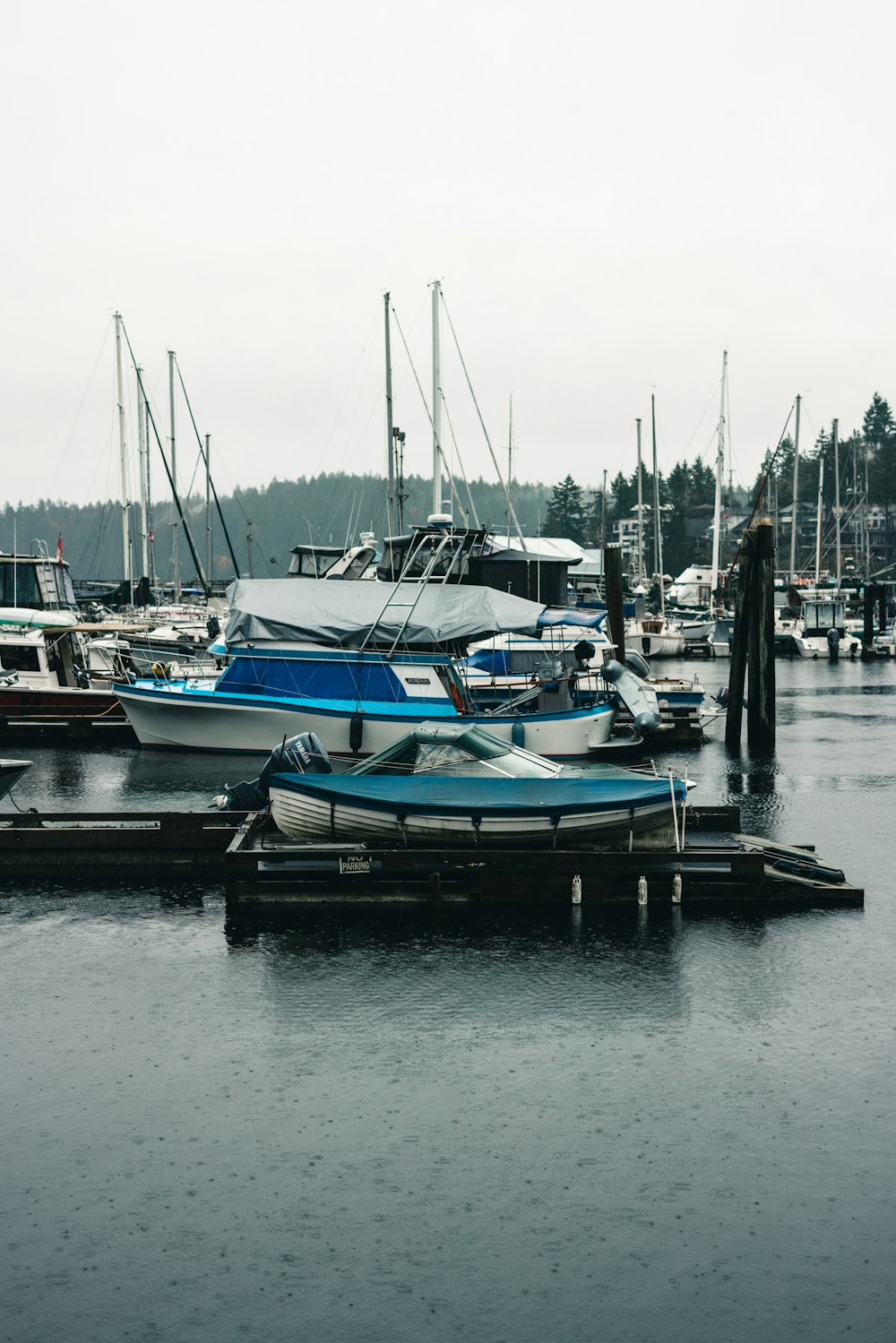 a man standing on a dock next to a bunch of boats