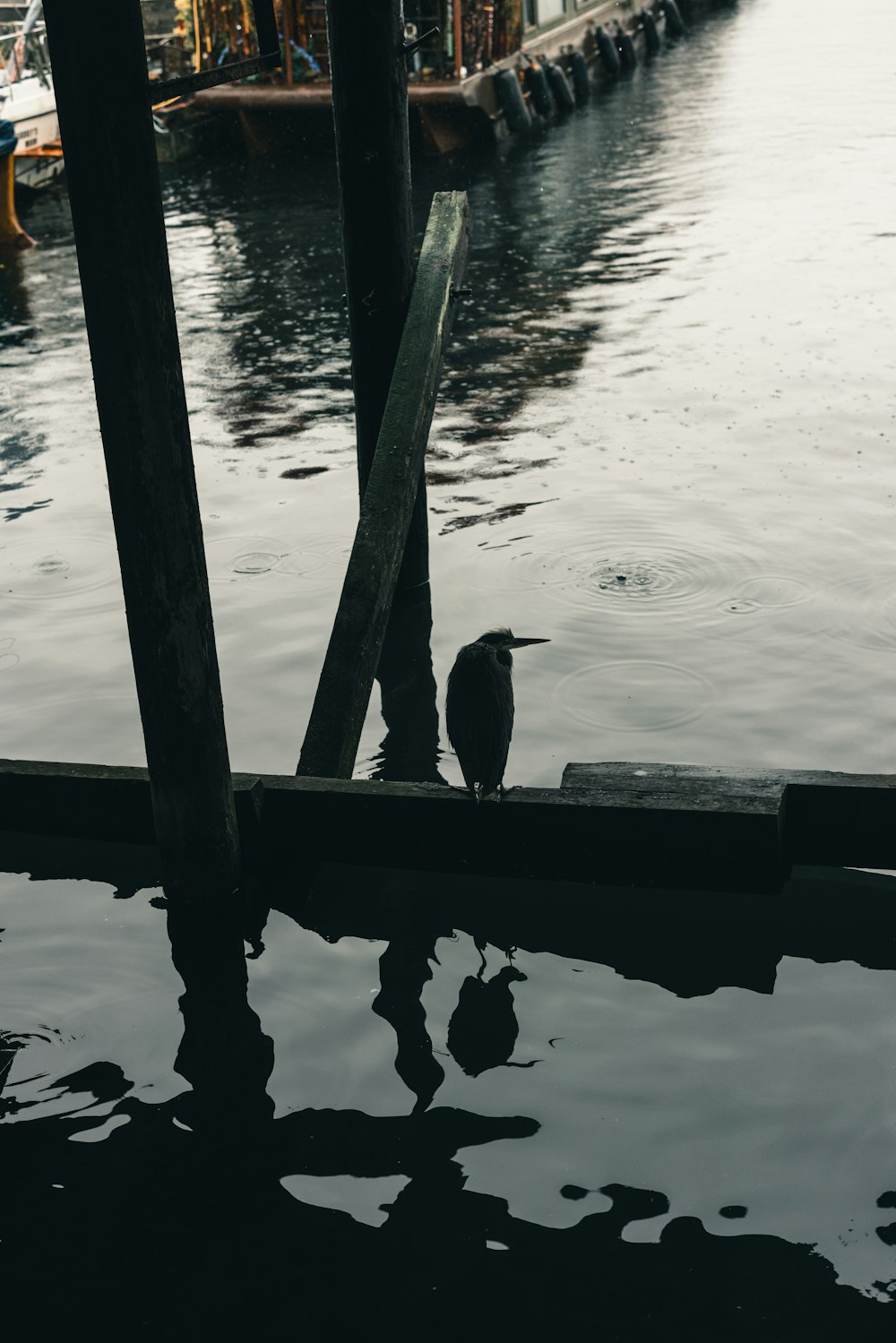 a bird is sitting on a dock next to the water