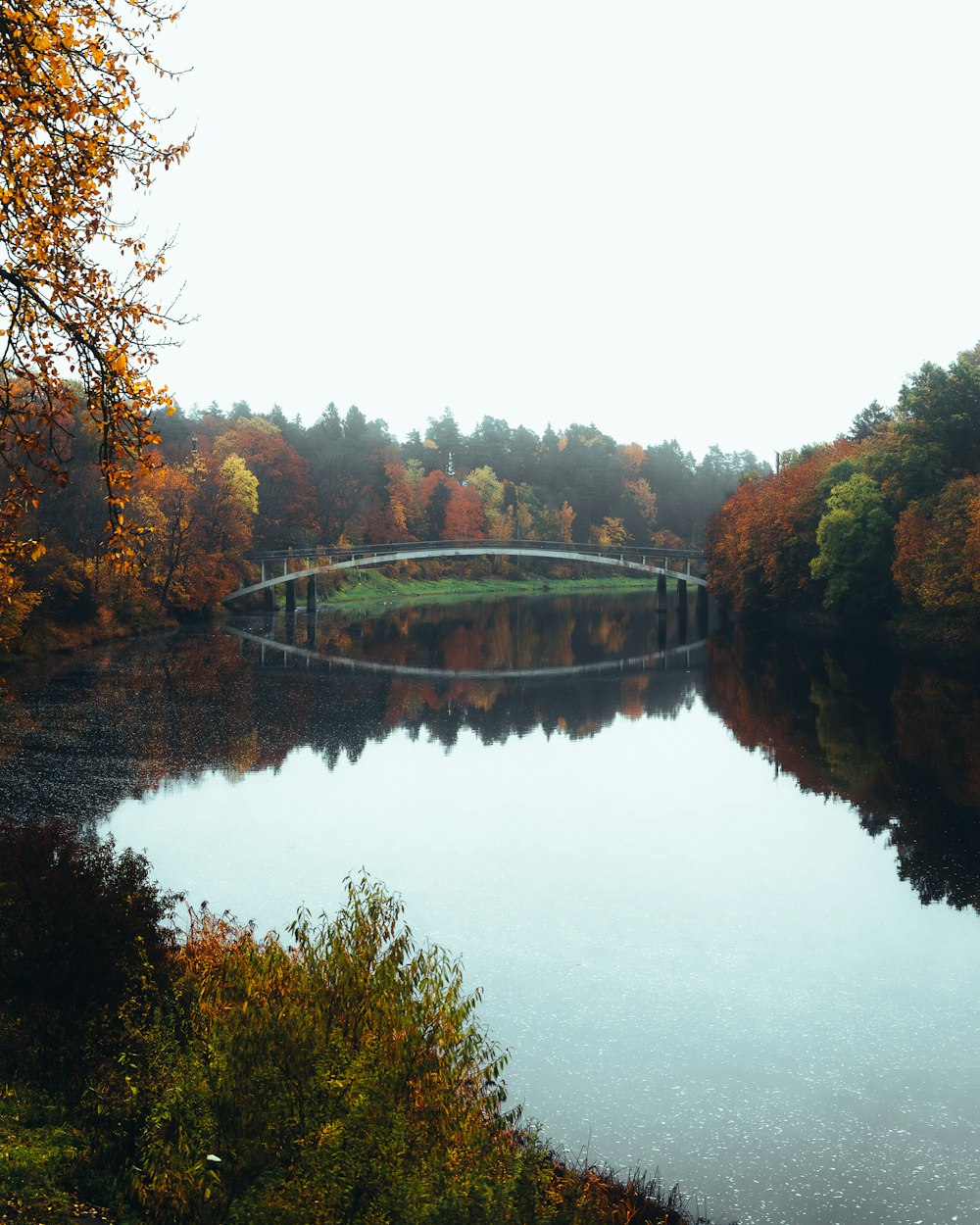 a bridge over a river surrounded by trees