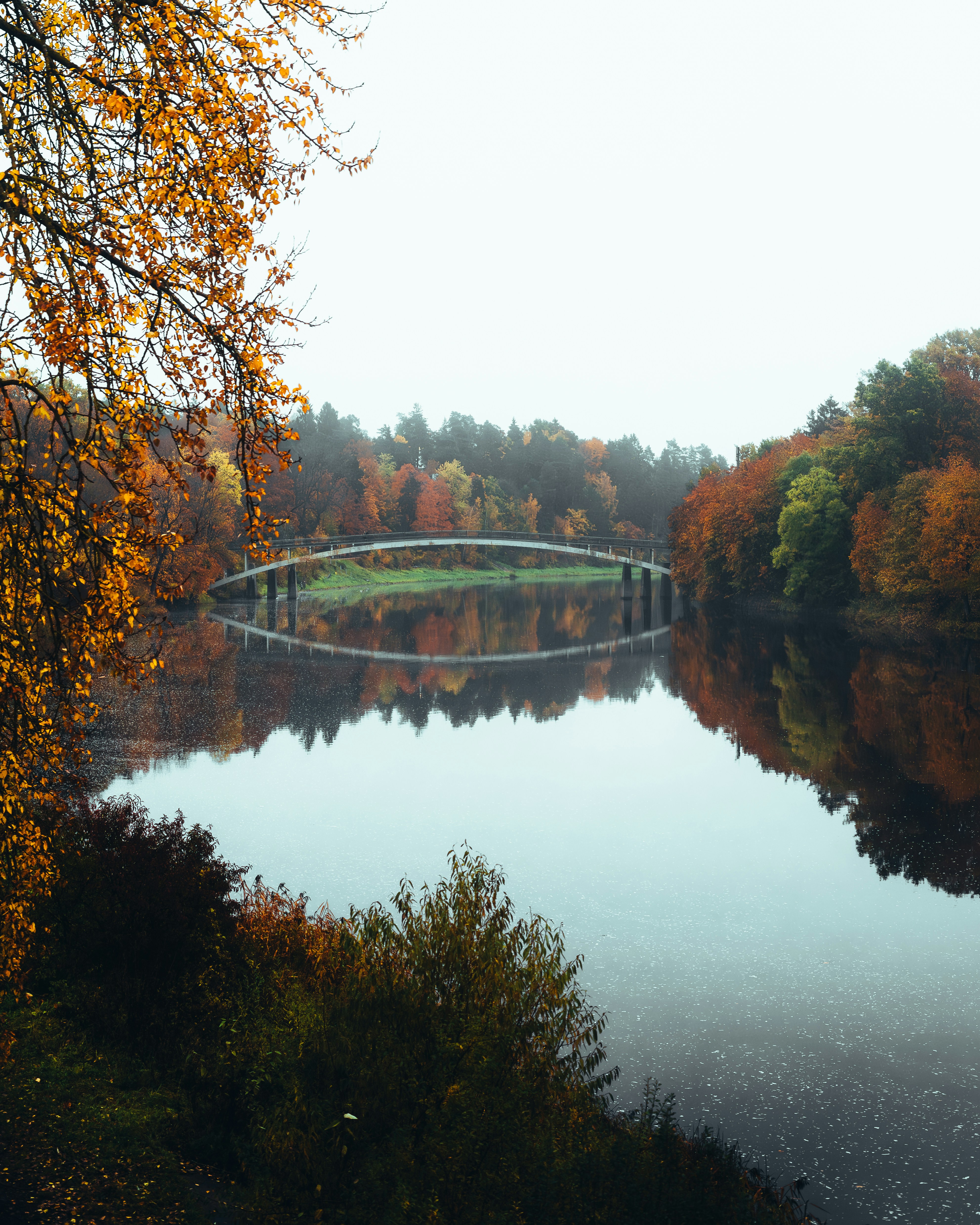 Photo by skvaad