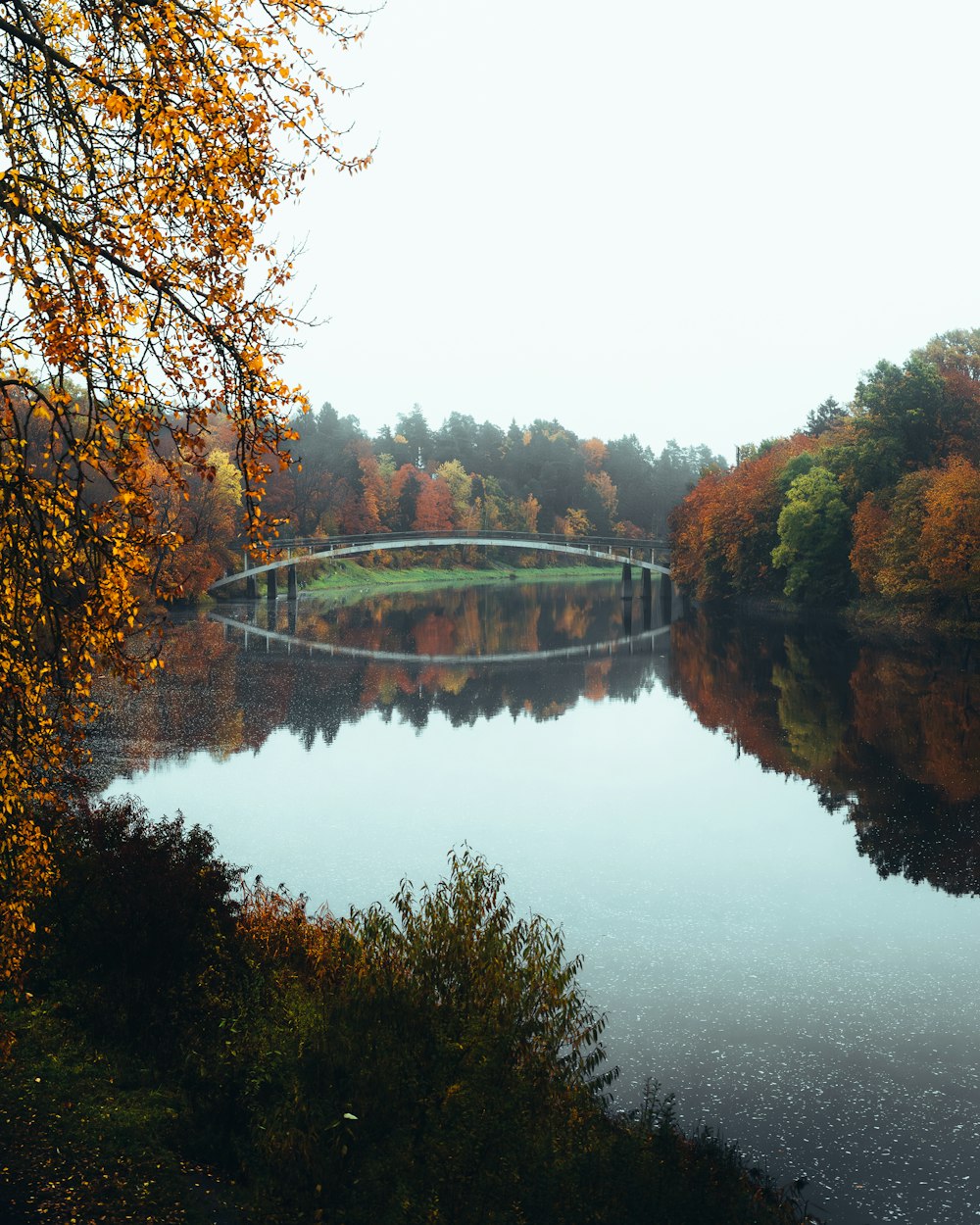 a bridge that is over a body of water