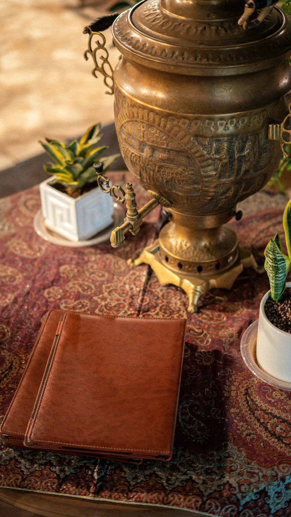 a potted plant sitting on top of a table