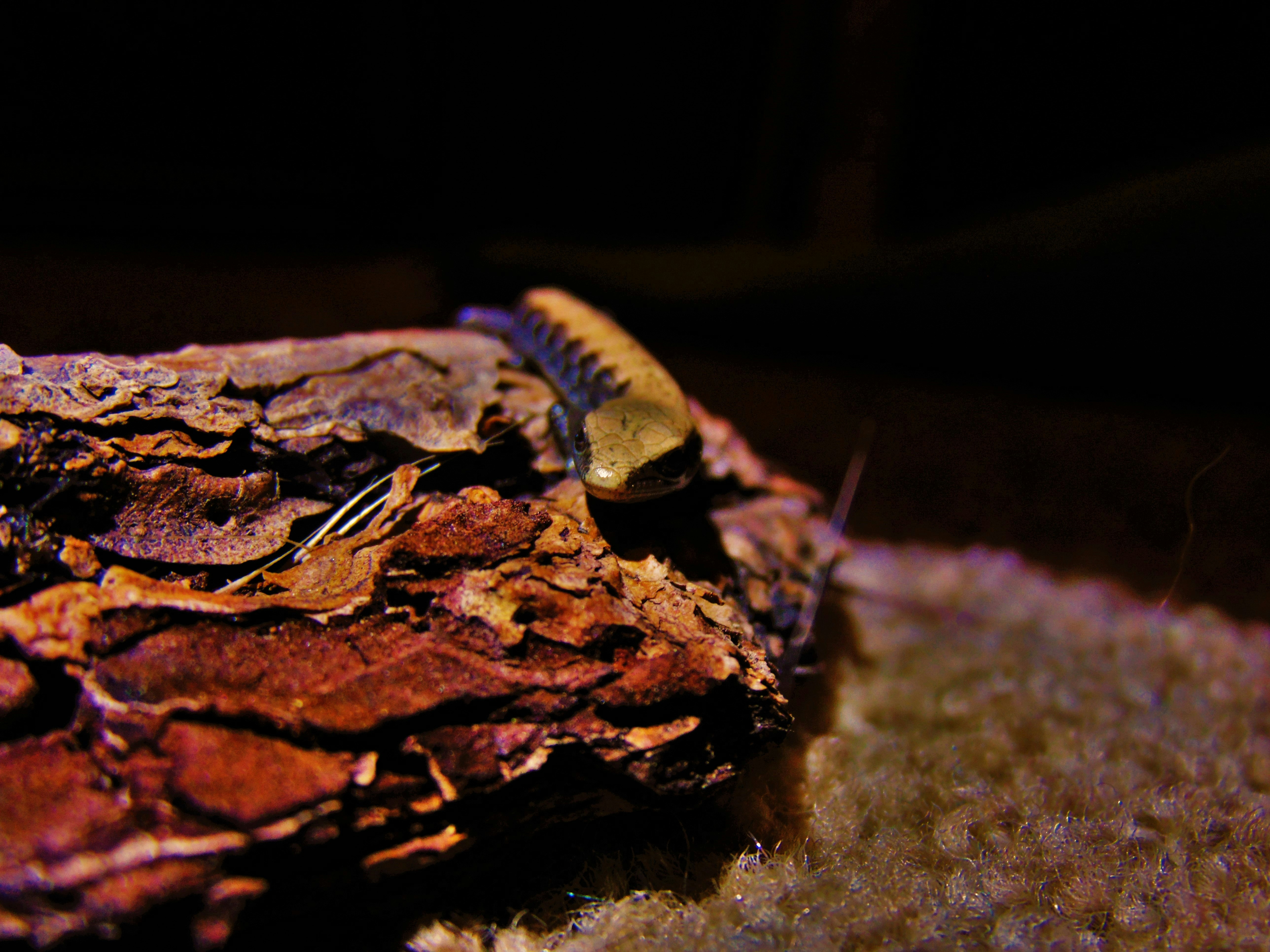 Photo by olivia_brewer2002