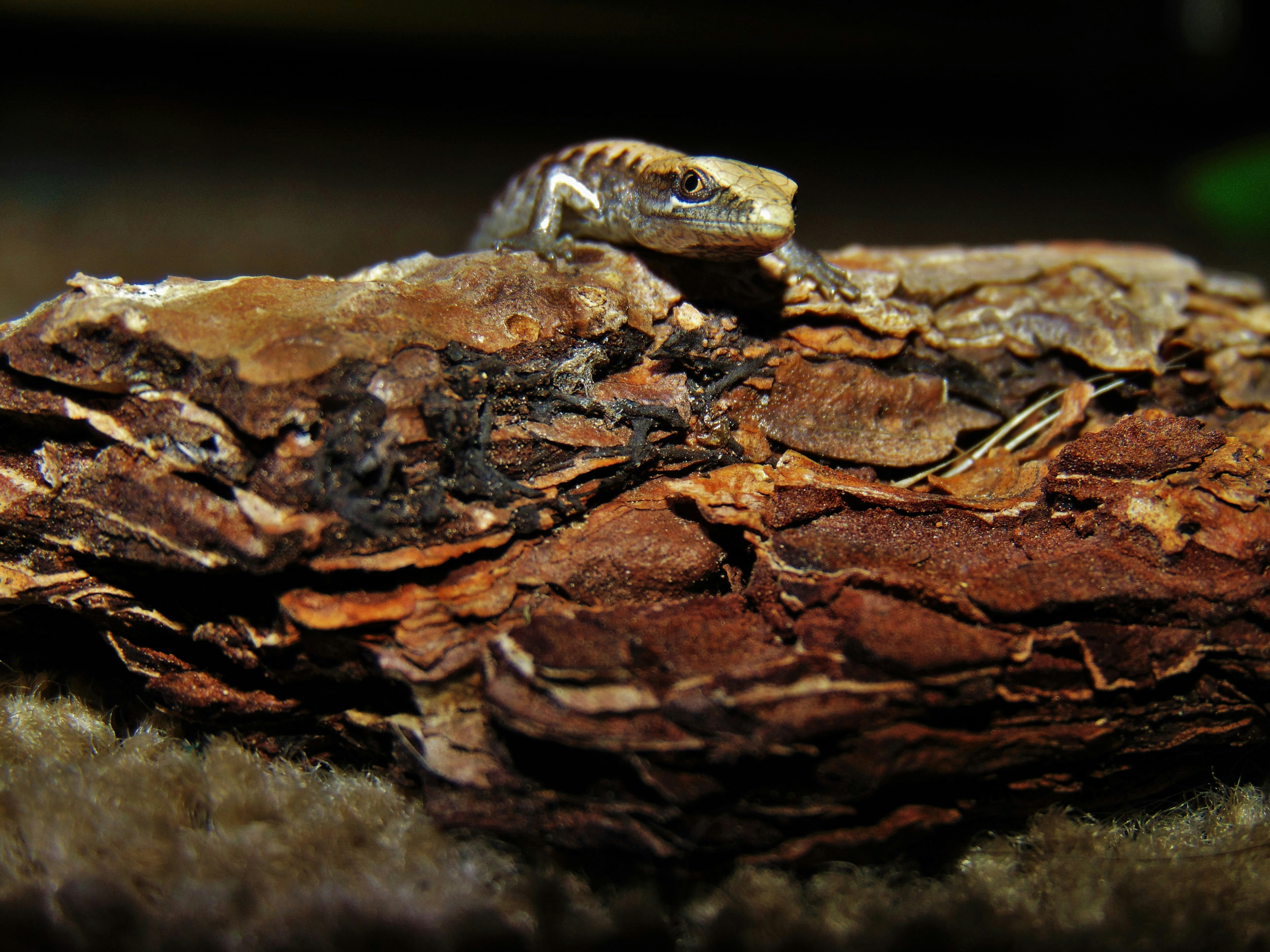 Photo by olivia_brewer2002