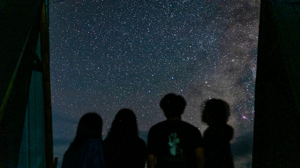 Two silhouettes separated by a translucent grid with star coordinates.