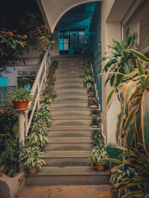 Decorative concrete steps leading up to a garden with vibrant plants.