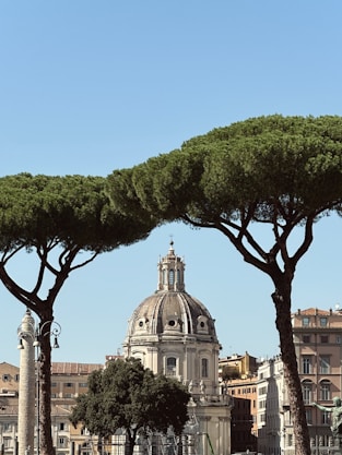 a group of trees with a building in the background