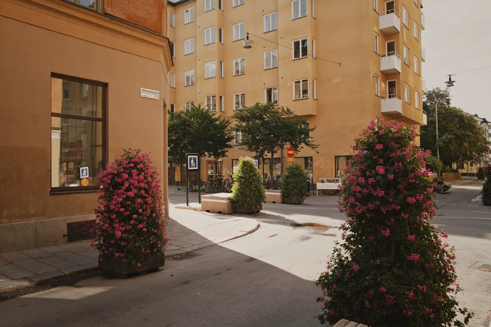 a city street with a building in the background