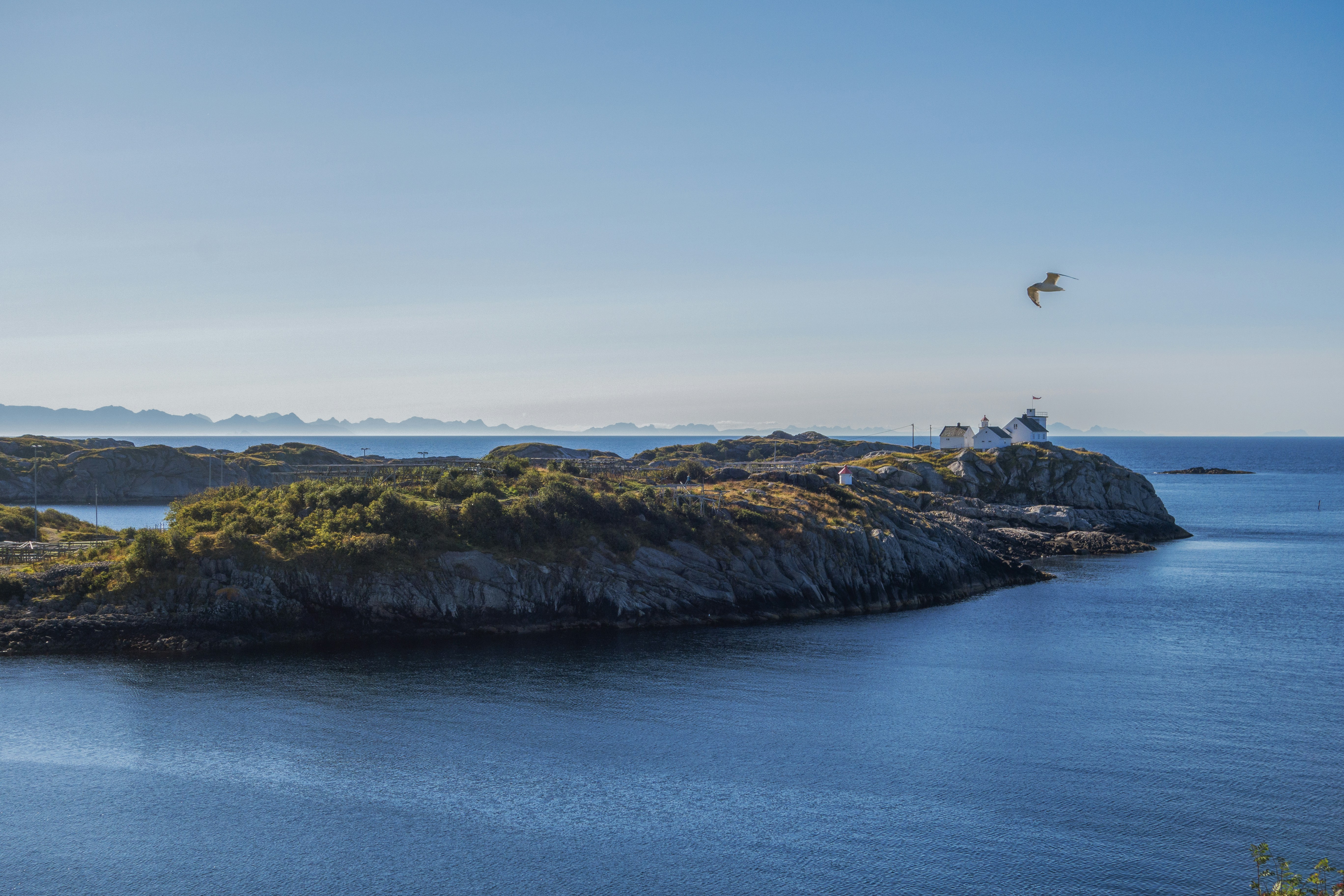 a bird flying over a small island in the middle of the ocean