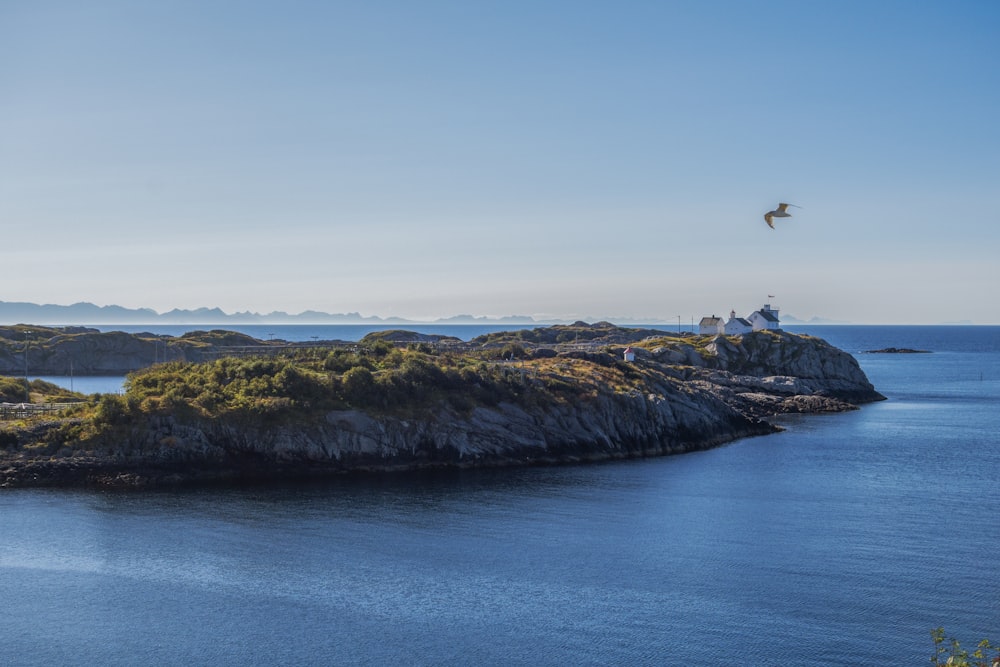 a bird flying over a small island in the middle of the ocean