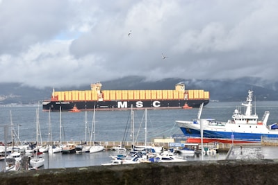 A large cargo ship loaded with multiple rows of orange containers navigates through a body of water. In the foreground, smaller boats are docked in a marina, and seagulls are flying above. The weather appears overcast, with clouds covering the sky and mountains in the background.