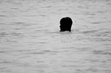 Subtle sound waves merging with a calm human silhouette.
