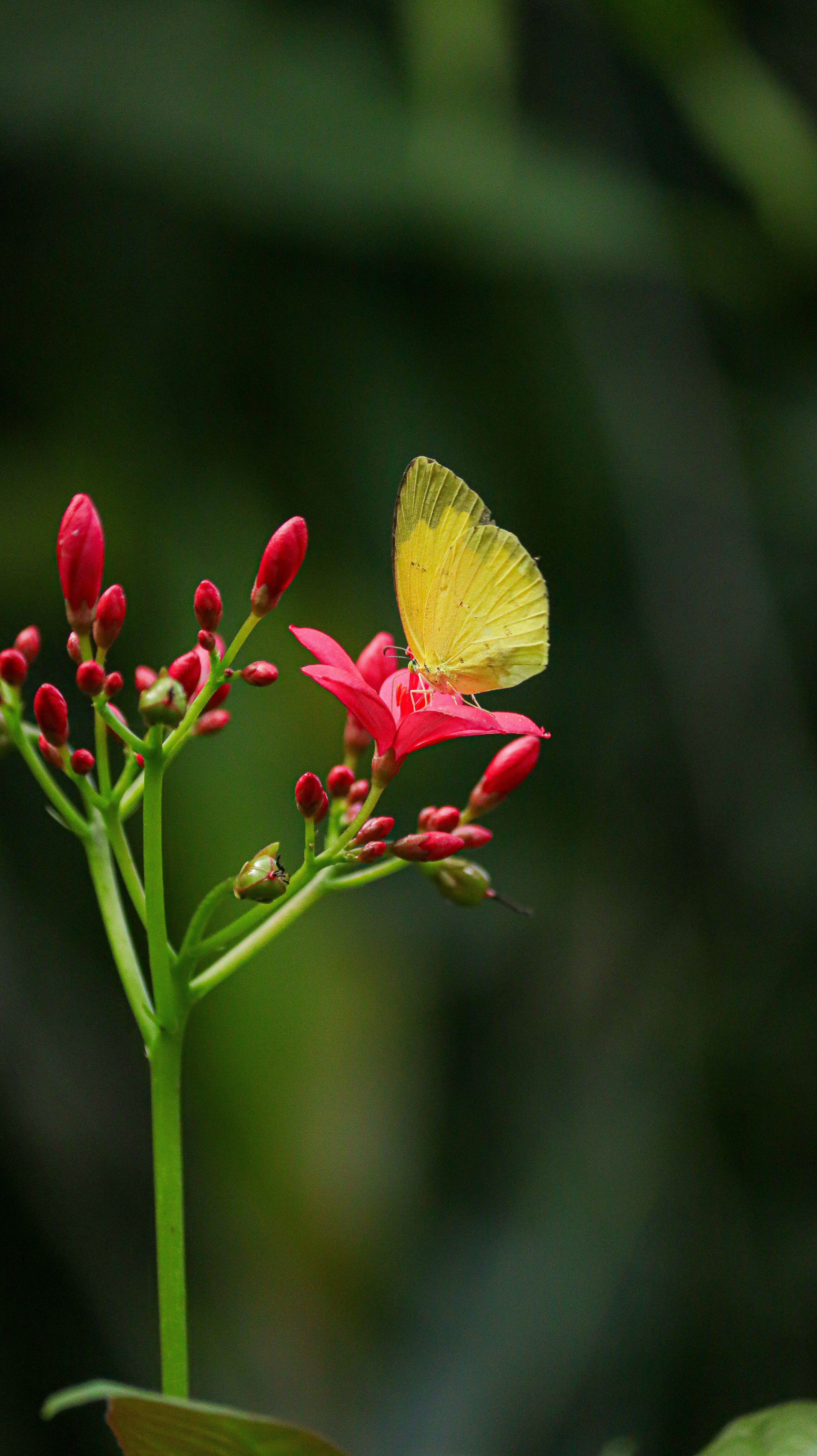 Photo by aneet_singh