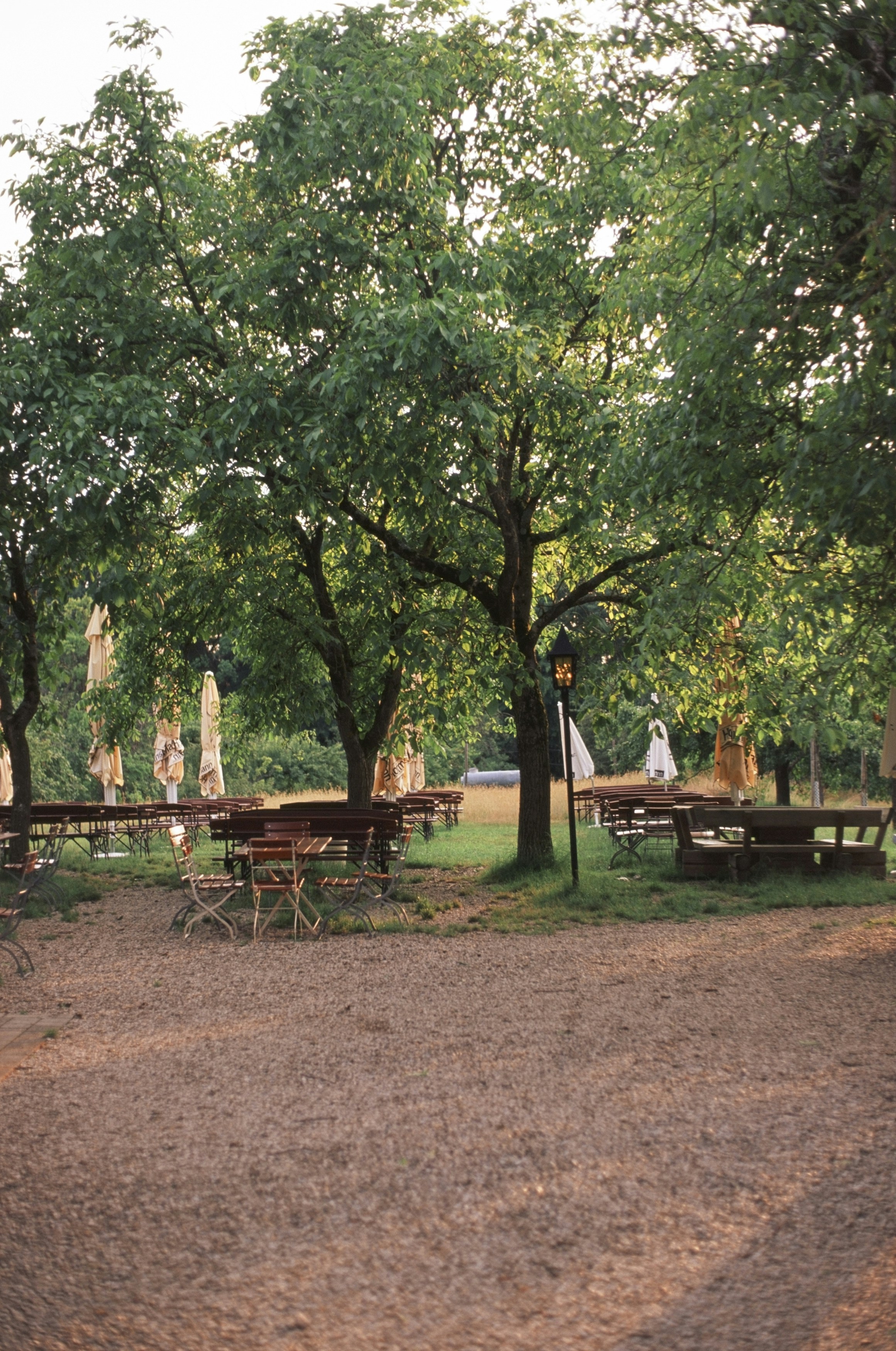 Photo by markusspiske