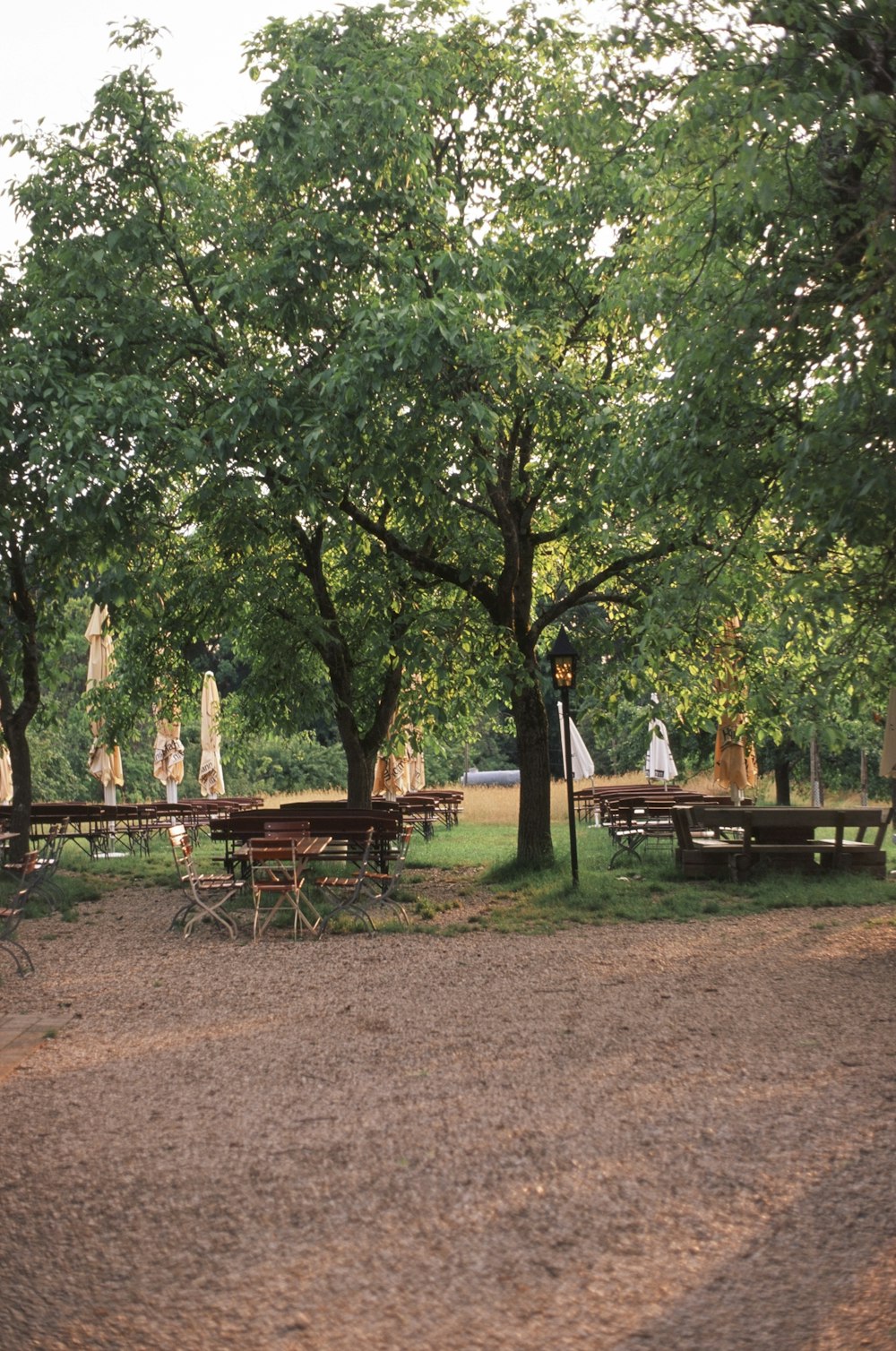 a group of picnic tables sitting under a tree