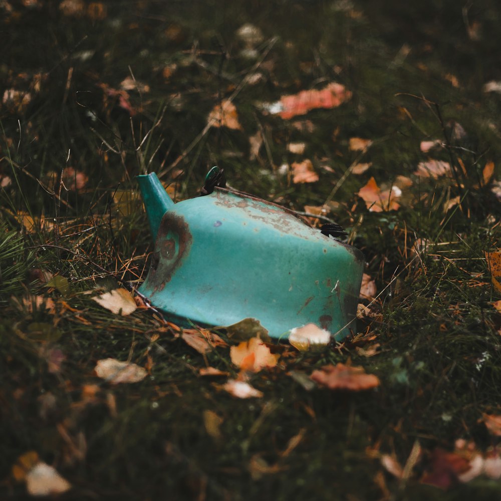 a blue watering can sitting in the grass