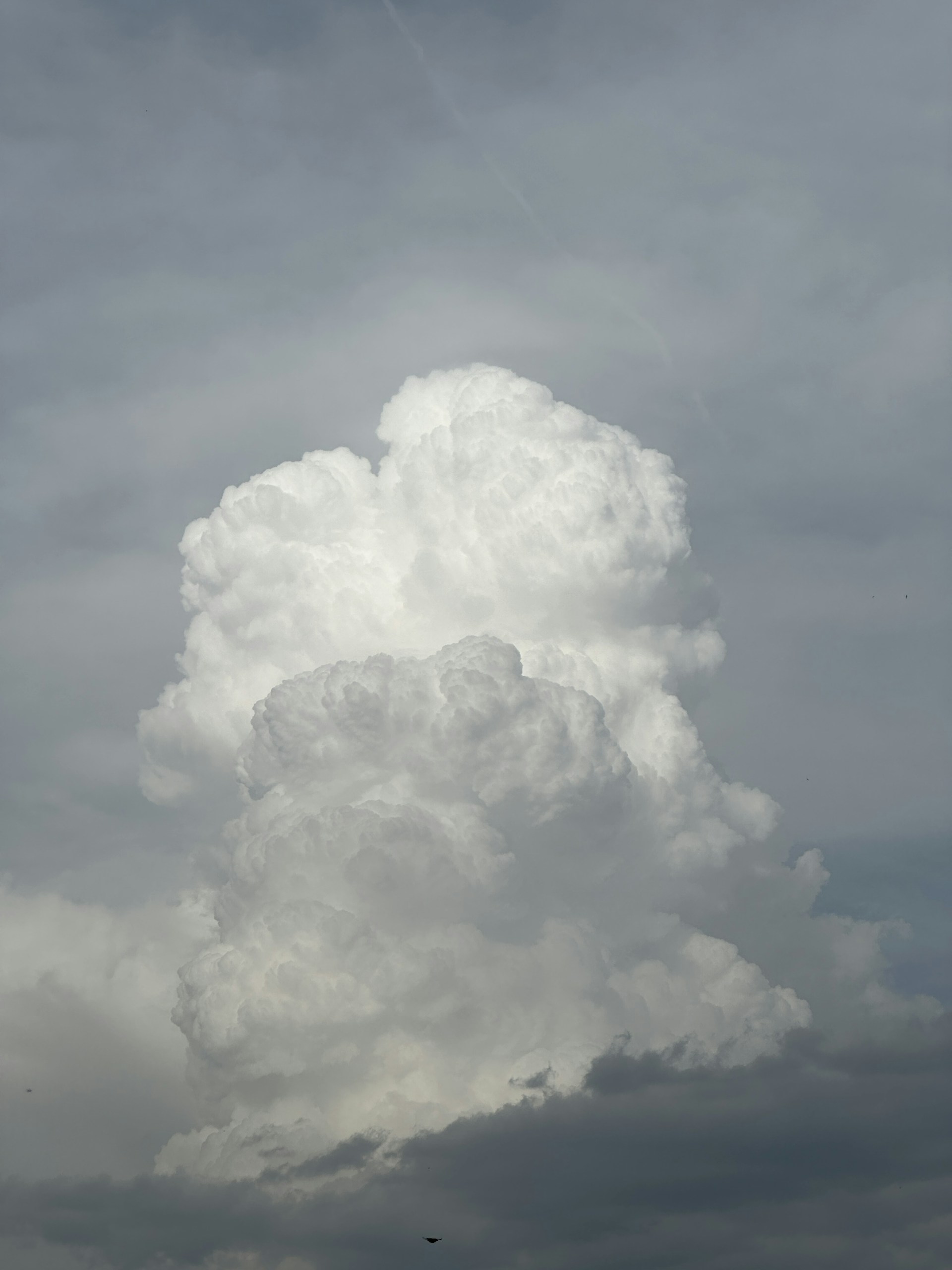 woman wearing yellow long-sleeved dress under white clouds and blue sky during daytime