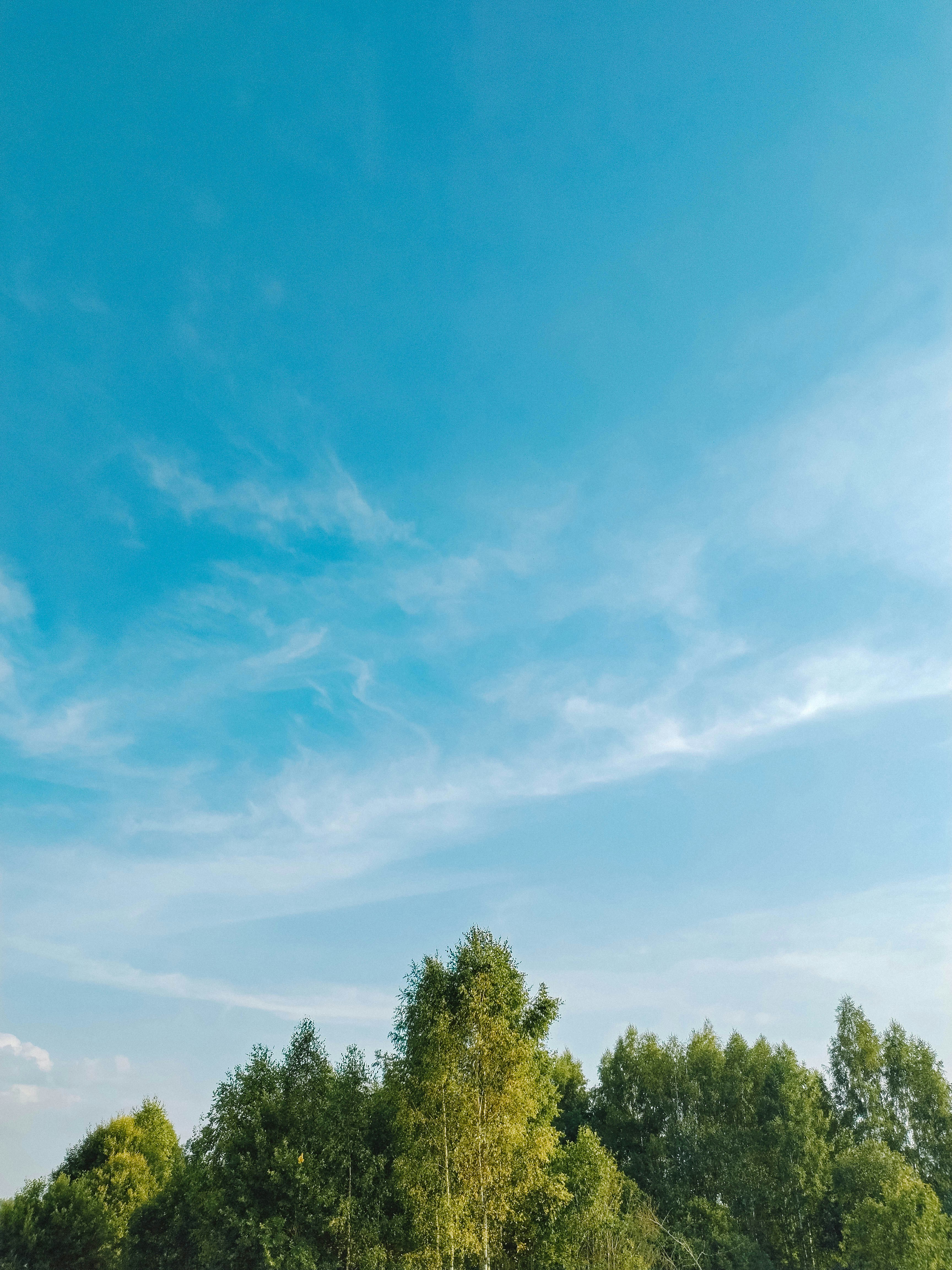 Photo by abalashevsky